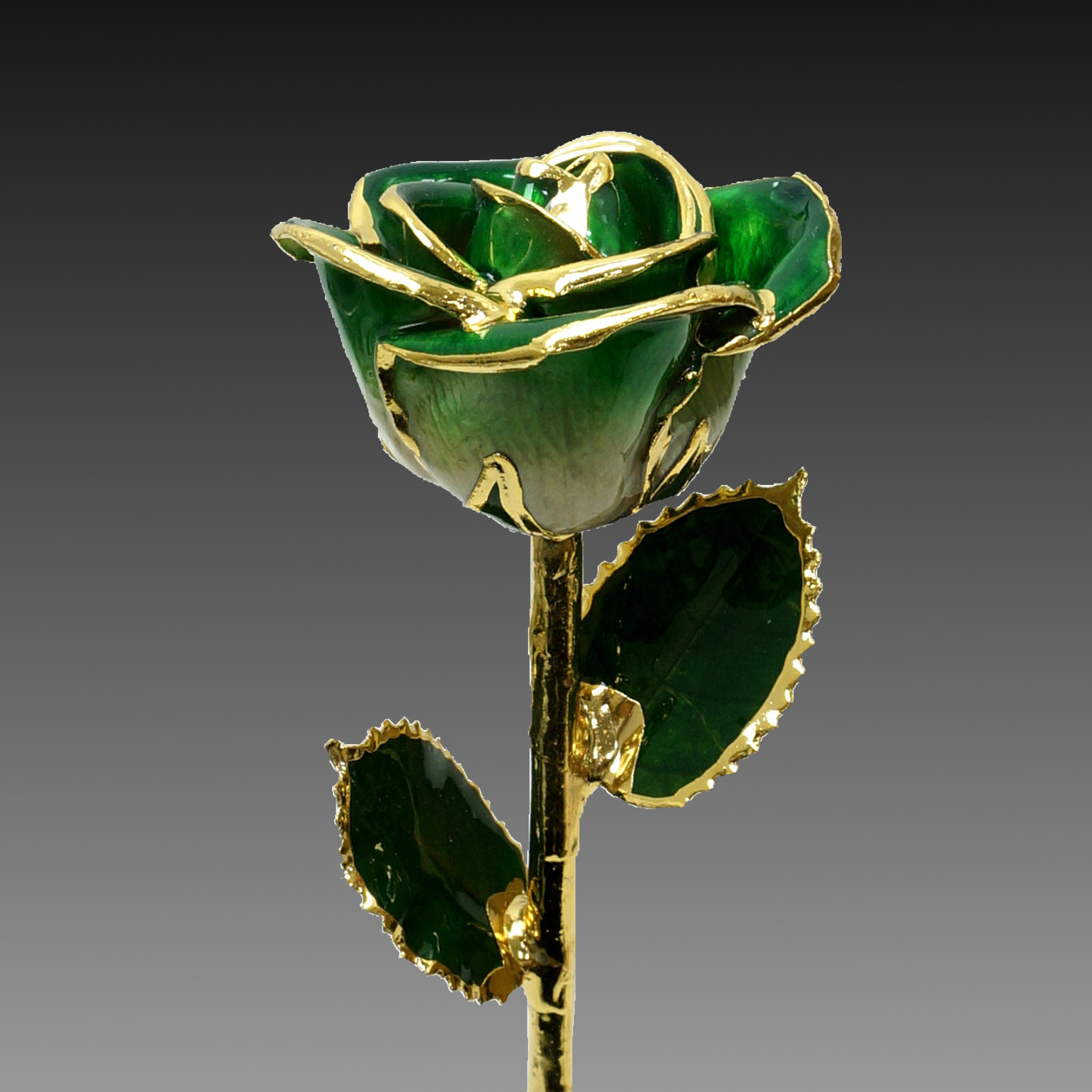 ギフトやブライダル 誕生日など特別な日に金の花など珍しい花やジェルキャンドルとフルオーダーリングのサプライズプレゼント Florrealカラーローズ ダークグリーン ギフトやブライダル 誕生日などの特別な日に金の花などの珍しいプレゼント Florreal