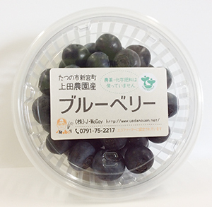 ブルーベリー 100g J Mccoy 上田農園 ブルーベリー 100g J Mccoy 上田農園