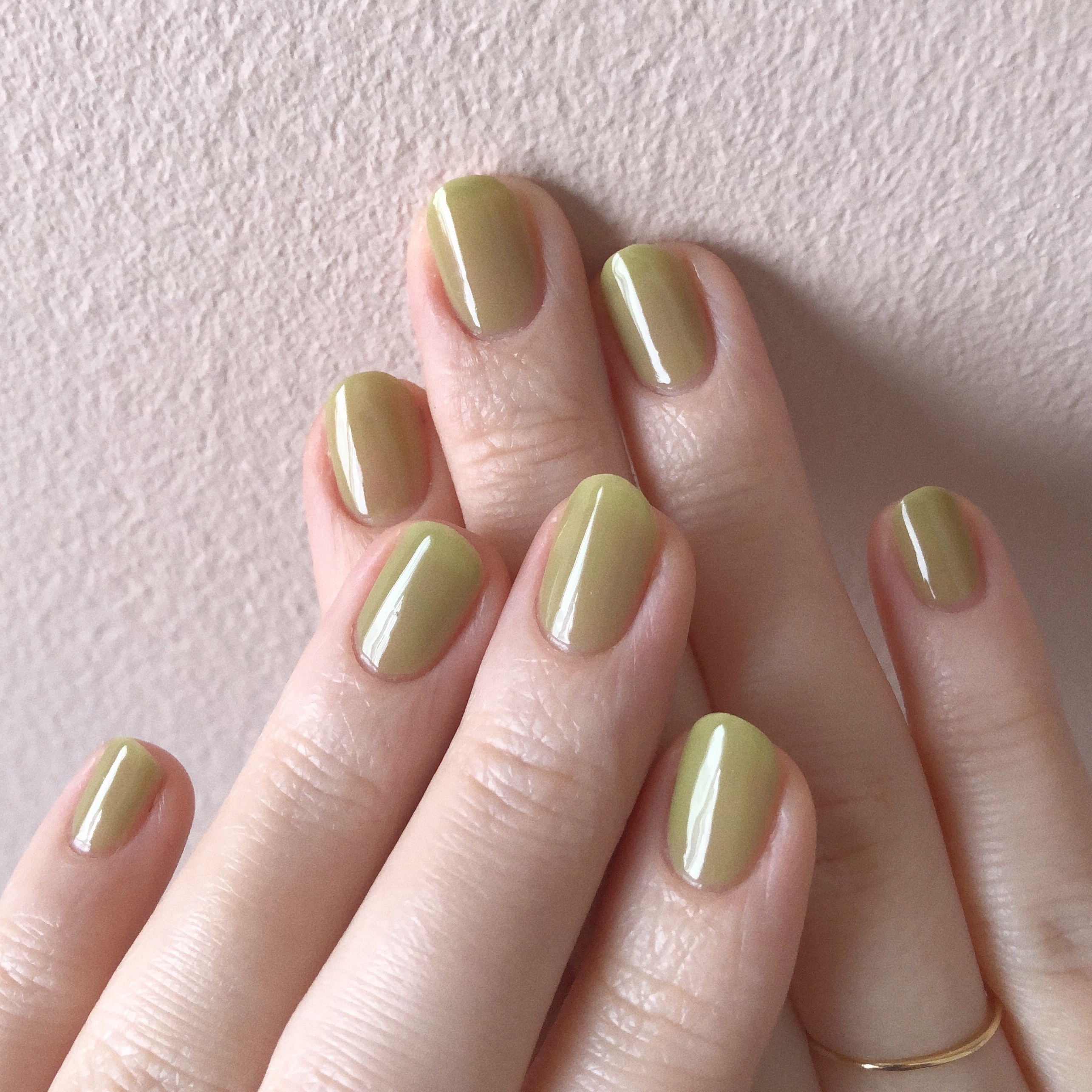 ピスタチオ Pistachio The Polish