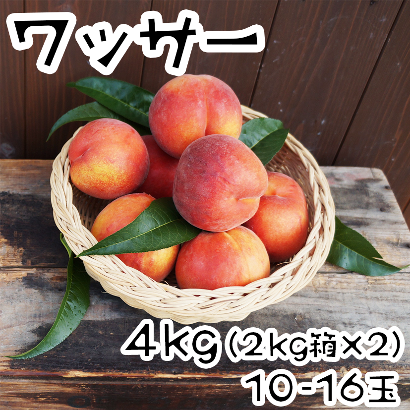 朝もぎ ワッサー 白桃 ネクタリン 4kg 2kg箱 2 よしとし果樹 朝もぎ ワッサー 白桃 ネクタリン 4kg 2kg箱 2 よしとし果樹