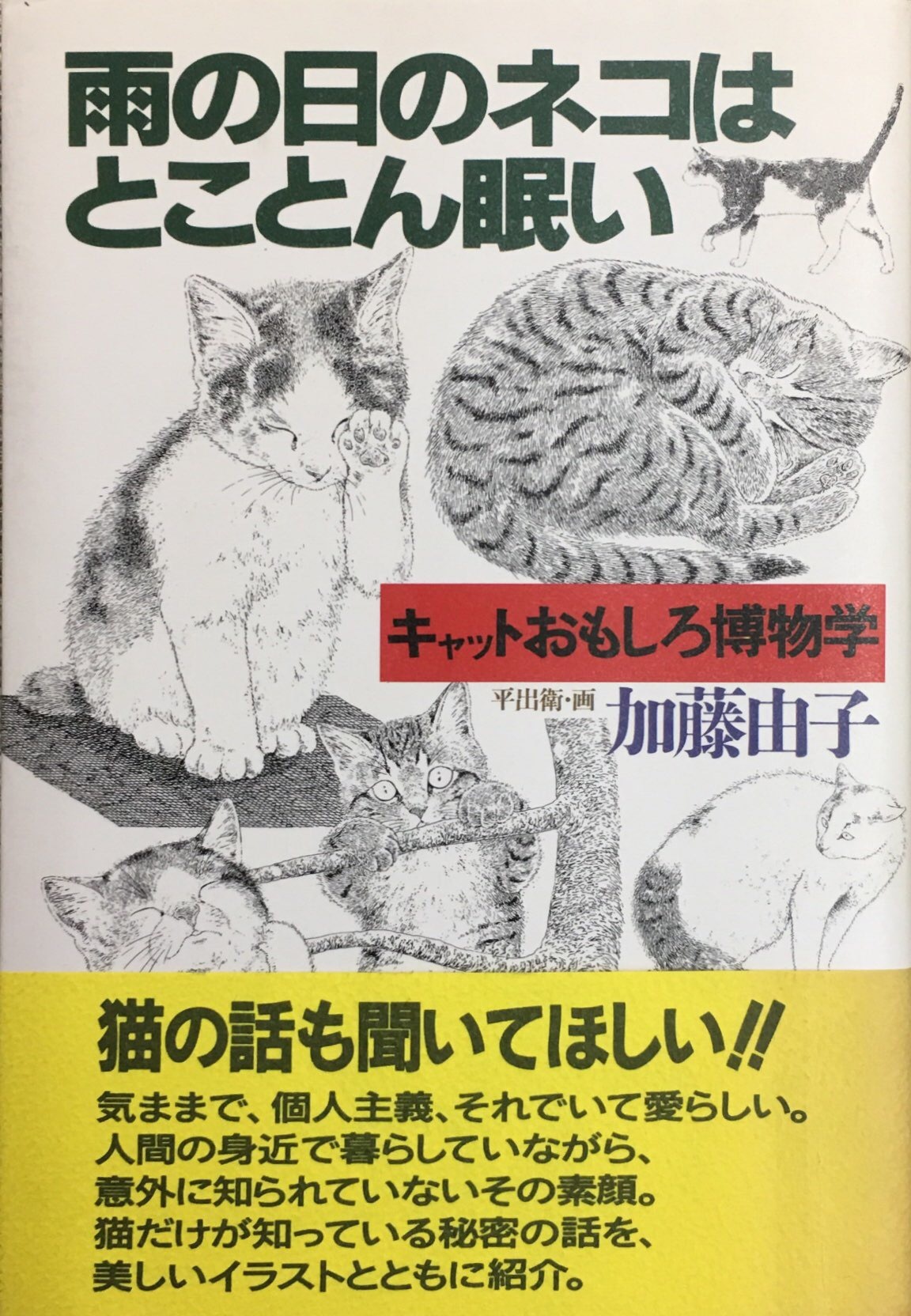 雨の日の猫はとことん眠い 単行本 帯付き 猫本サロン 京都三条サクラヤ