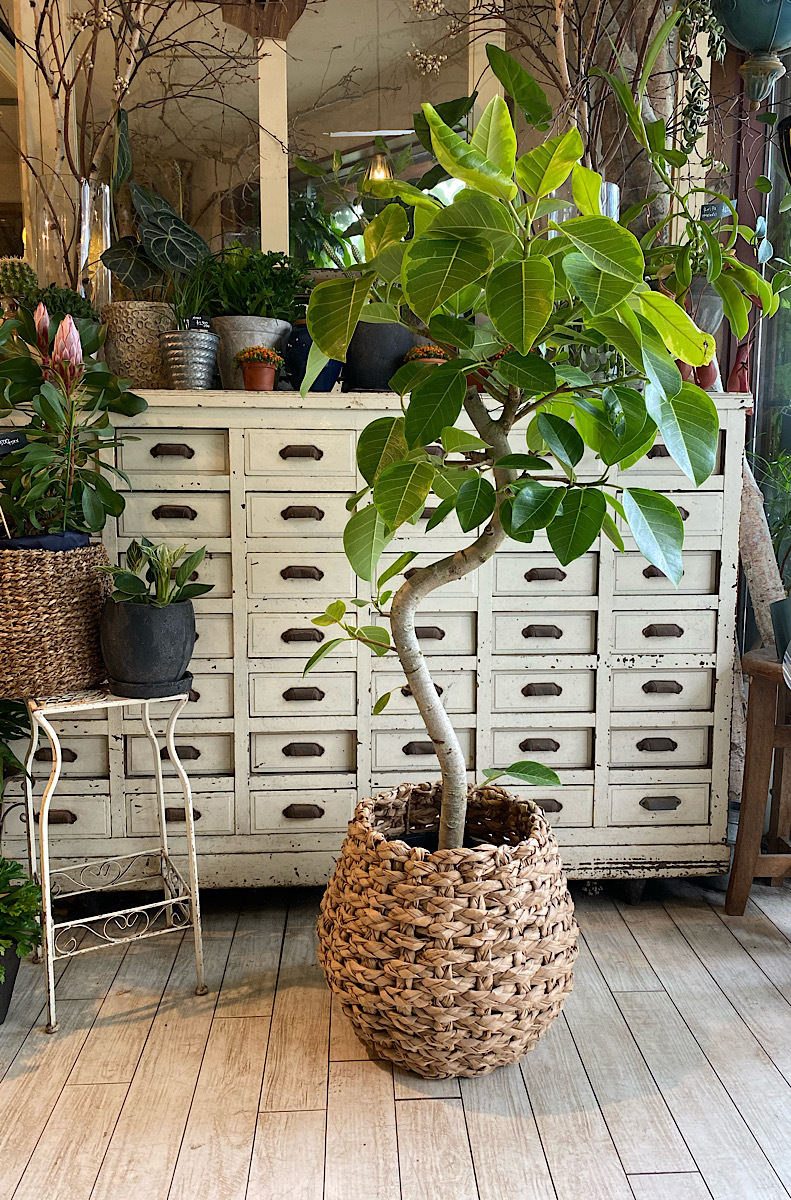 アルテシーマ 街のお花屋さん