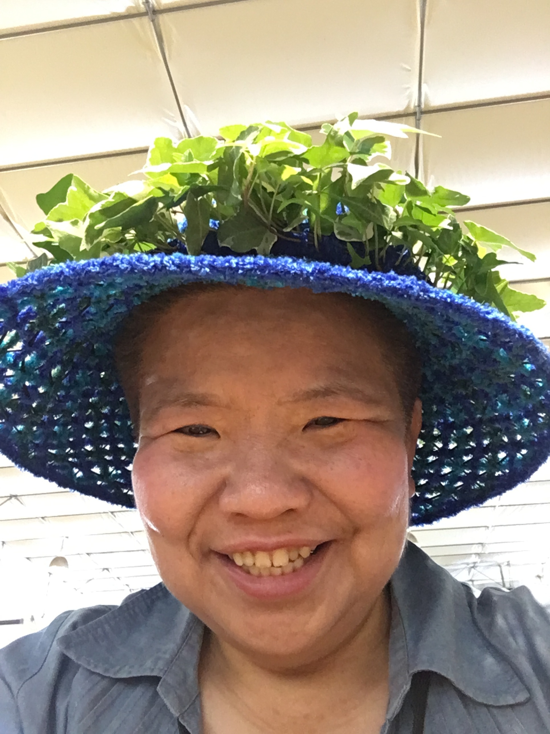ブルー サキュレントセット【ギャザリング水苔サキュレント】レターパック発送(送料全国一律510円) - 画像3
