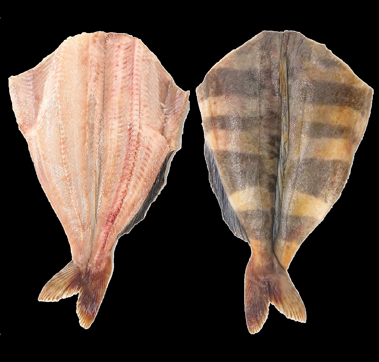 しまほっけ開き 魚新 低温熟成仕込
