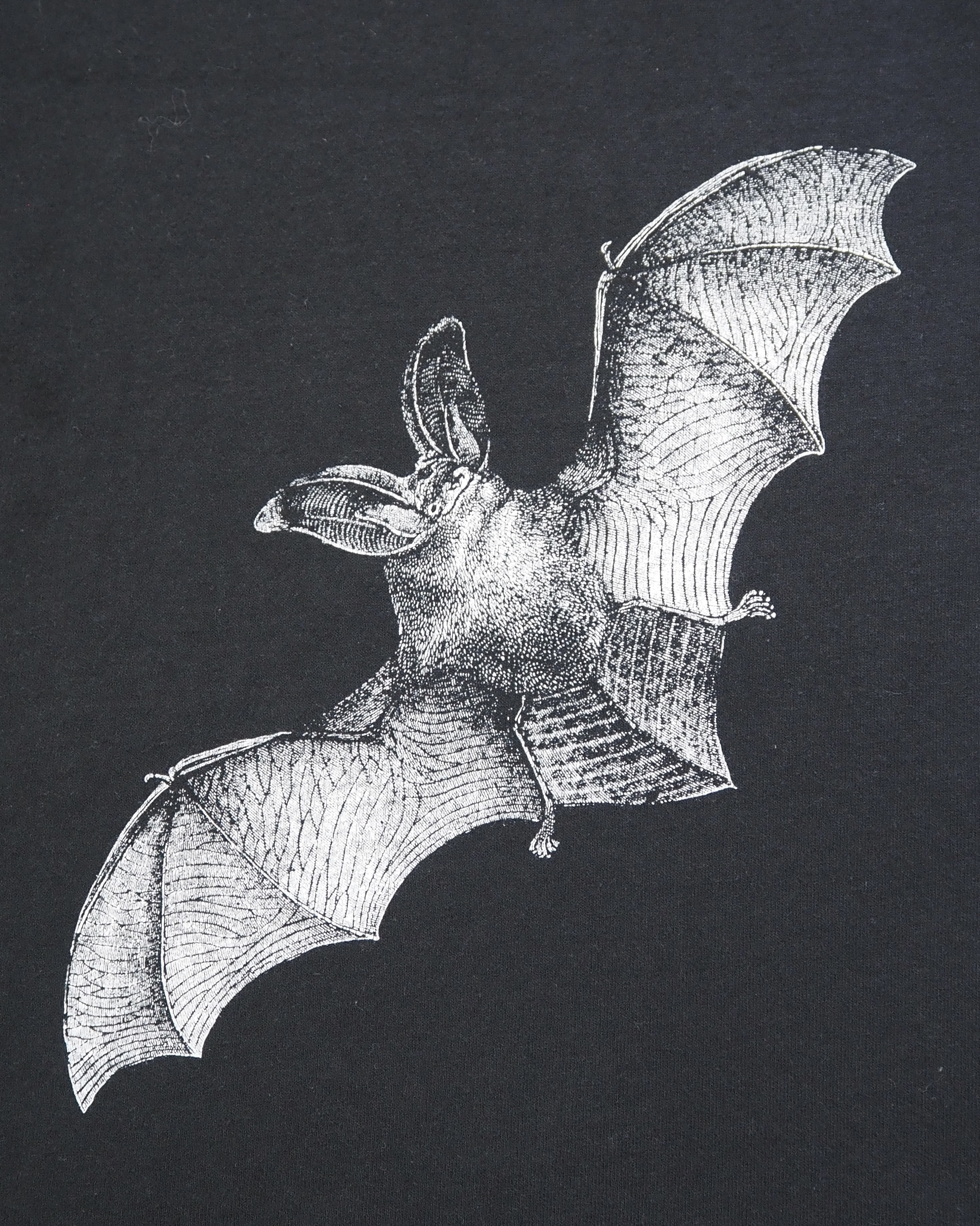 80’s フルーツ コウモリTシャツ 両面プリント Lサイズ の画像 13