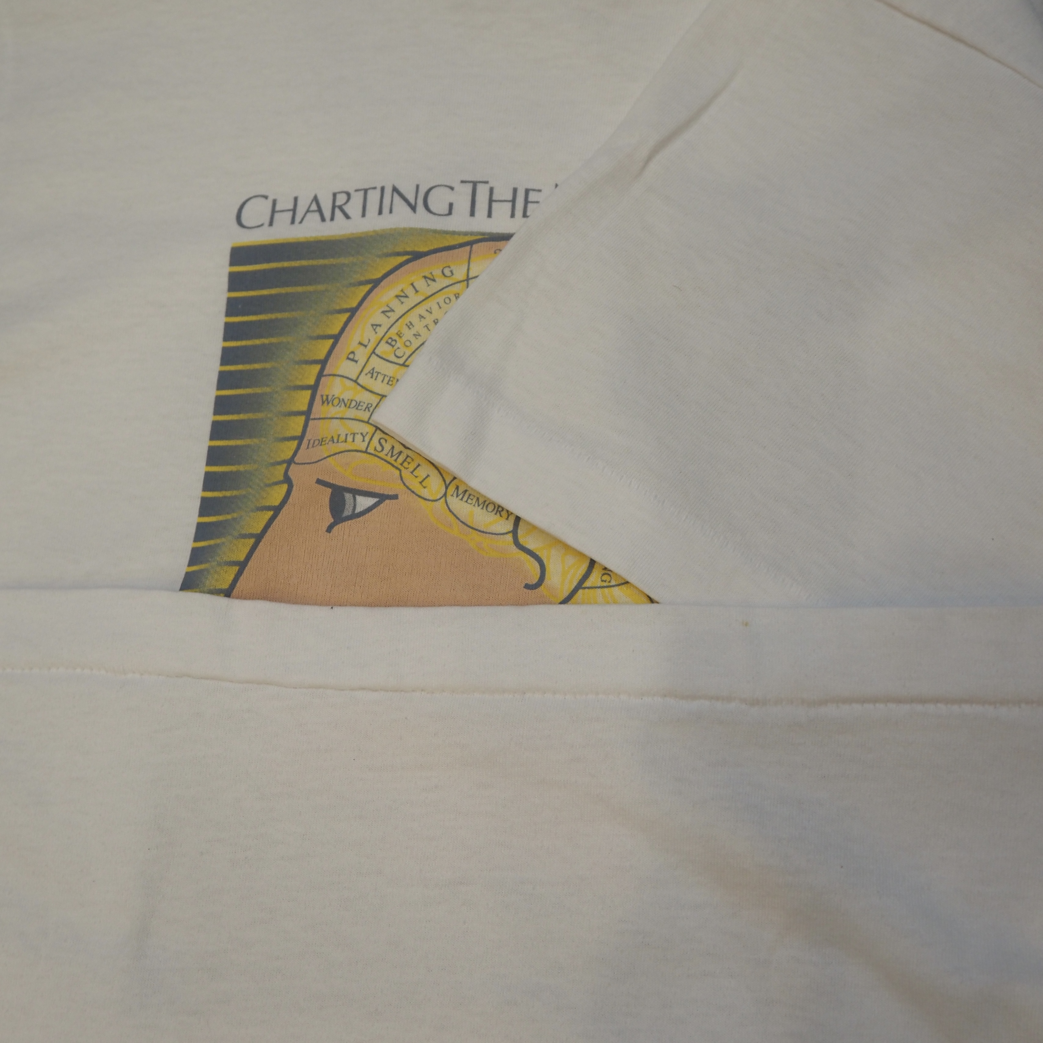 90’s Screen Stars ブレインTシャツ の画像 9