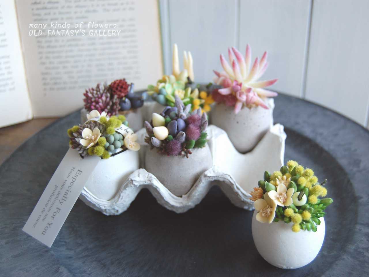 可愛い多肉植物 小花 たまごモチーフポット T400 Oldfantasy 可愛い多肉植物 小花 たまごモチーフポット T400 Oldfantasy