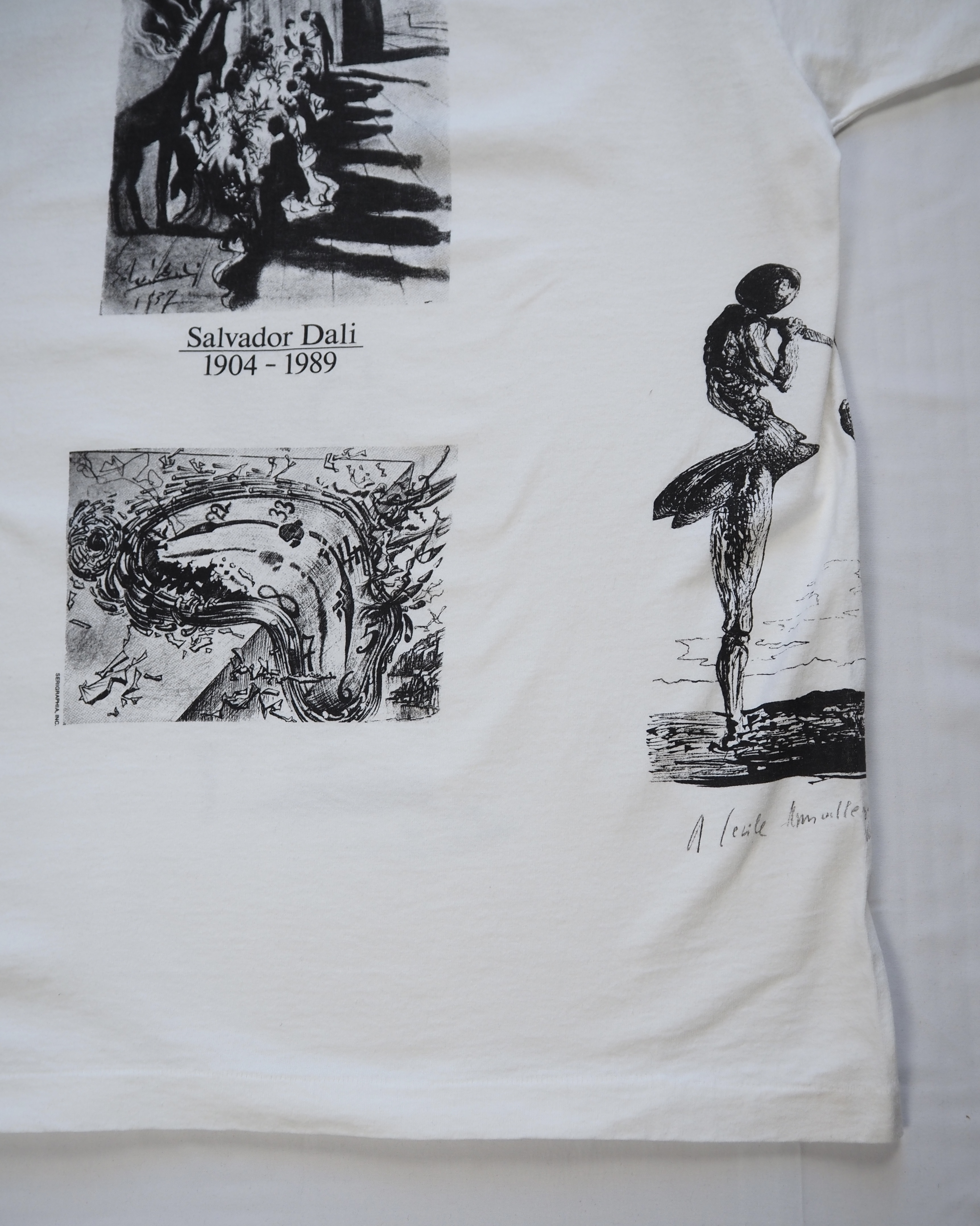 90's Fruits of the loom アートTシャツ ダリ 総柄プリント XL の画像 6