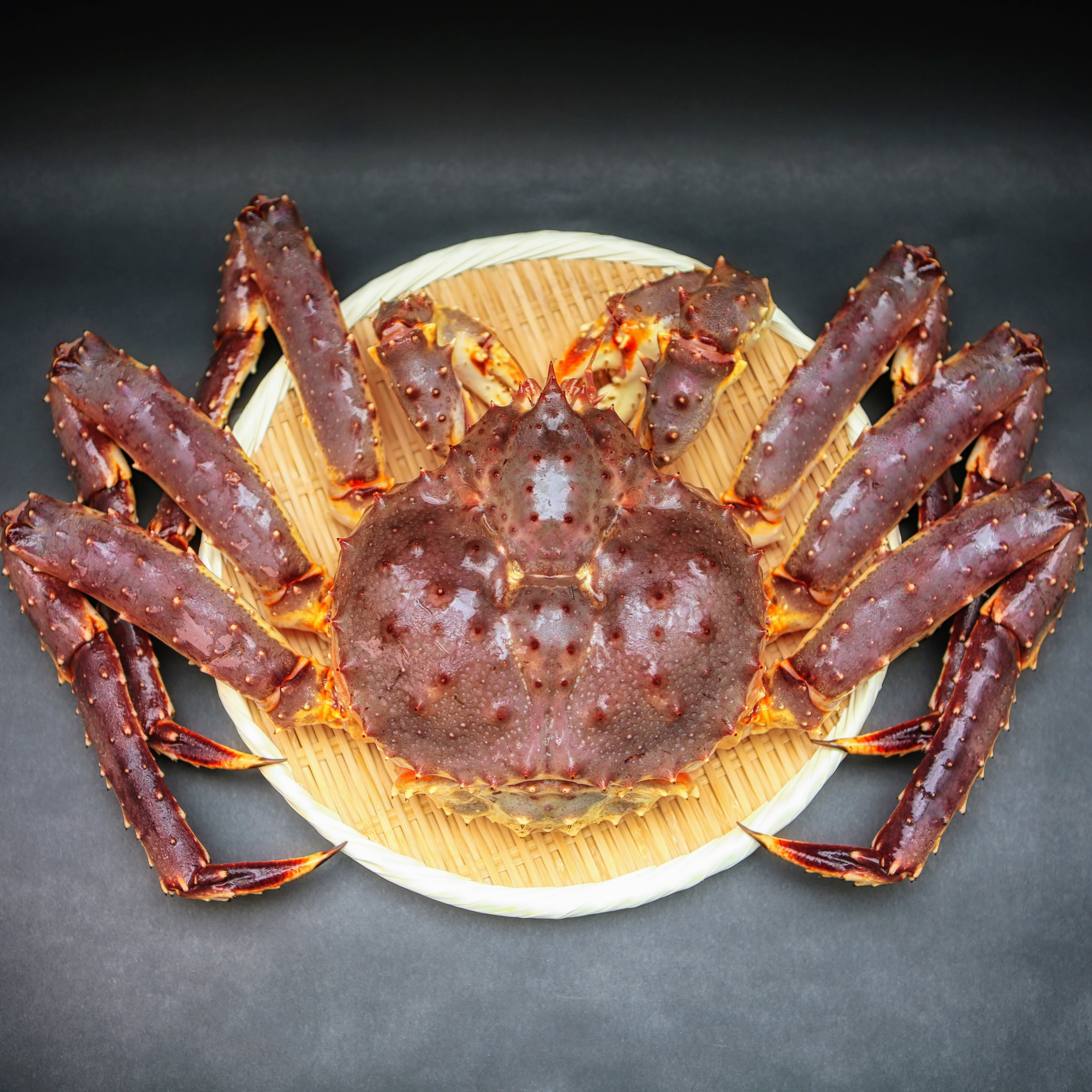 活タラバガニ 2 7 2 9 ノルウェー産 輸入元直売 活魚介の振興商事