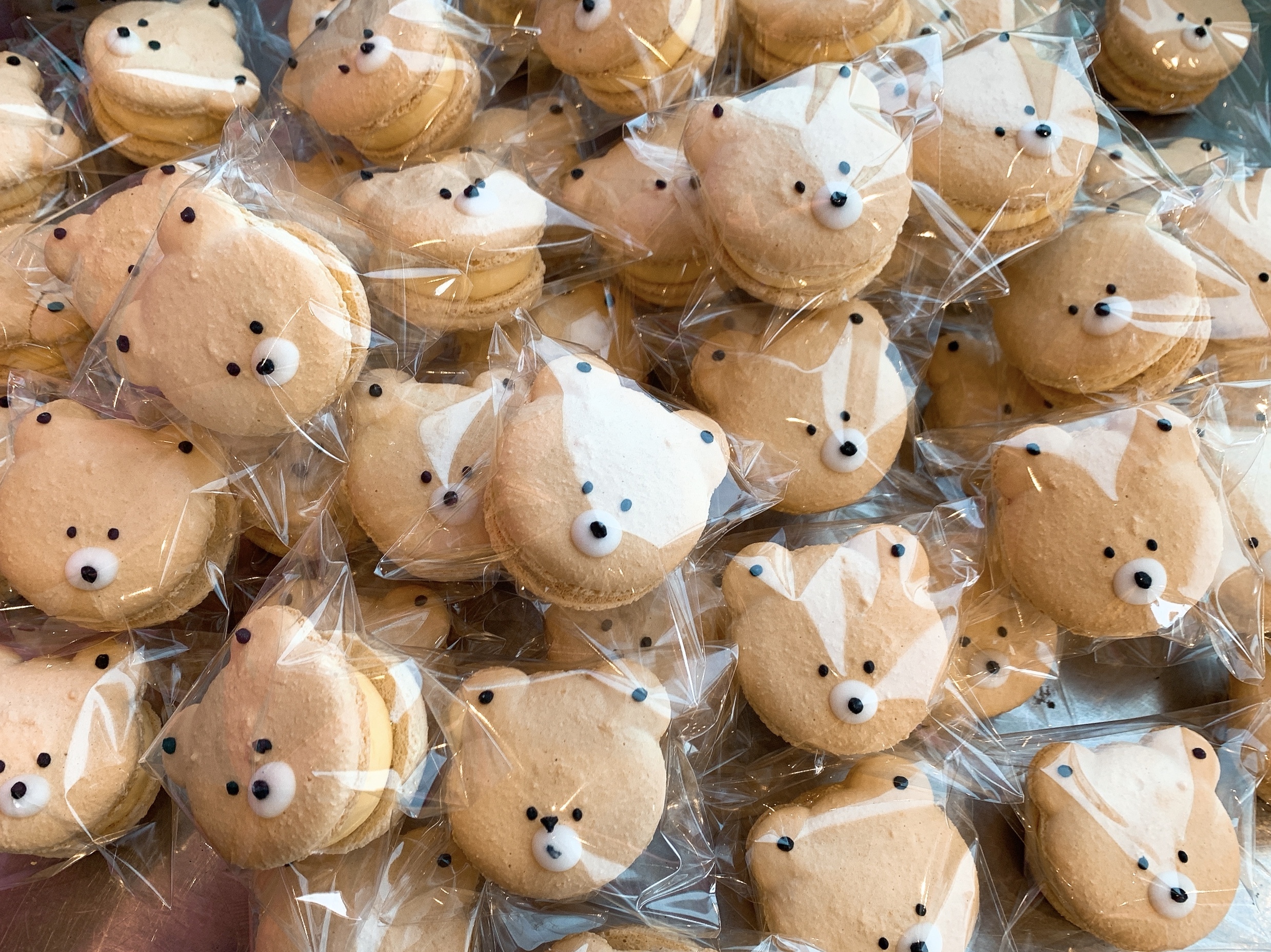 【韓国マカロン】トゥンカロン定番フレーバー8種類8個セット ...