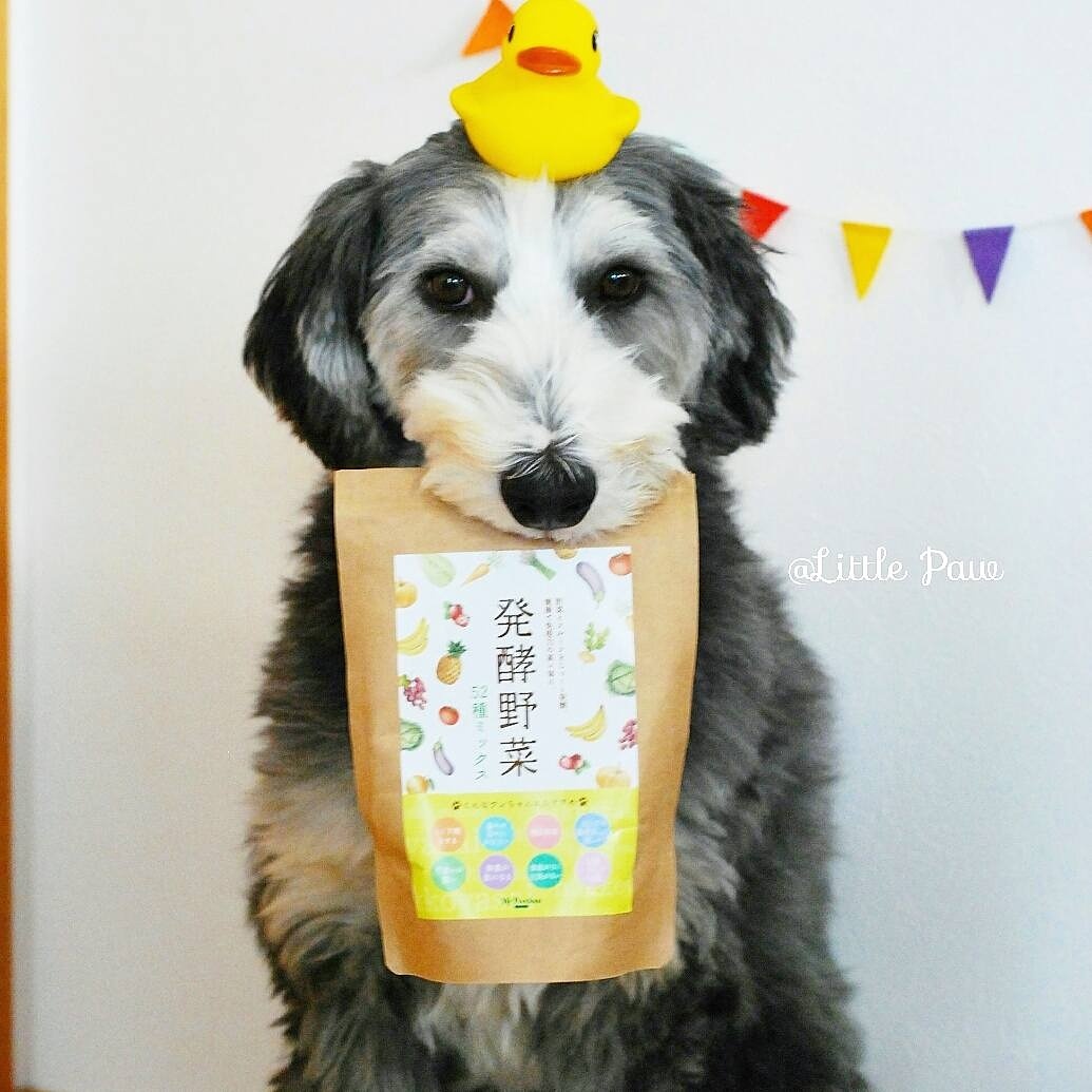 酵素ふりかけ 発酵野菜52種 Little Paw 111