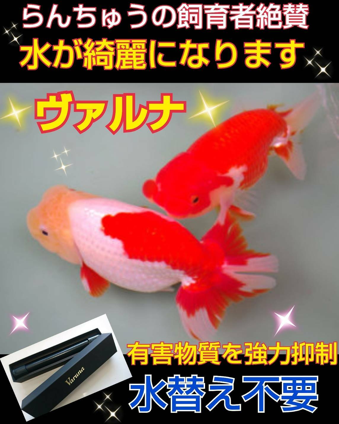 送料別 8センチ ヴァルナ 水槽の水が綺麗になる 透明度が増し有害物質を強力抑制 水替え不要になります 生体が長生きします Pastime Shop パスタイムショップ カブトムシクワガタマット 送料別 8センチ ヴァルナ 水槽の水が綺麗になる 透明度が増し有害物質を強力抑制 水替え不要になります 生体が長生きします Pastime Shop パスタイムショップ カブトムシクワガタマット