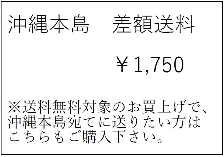 沖縄本島 差額運賃