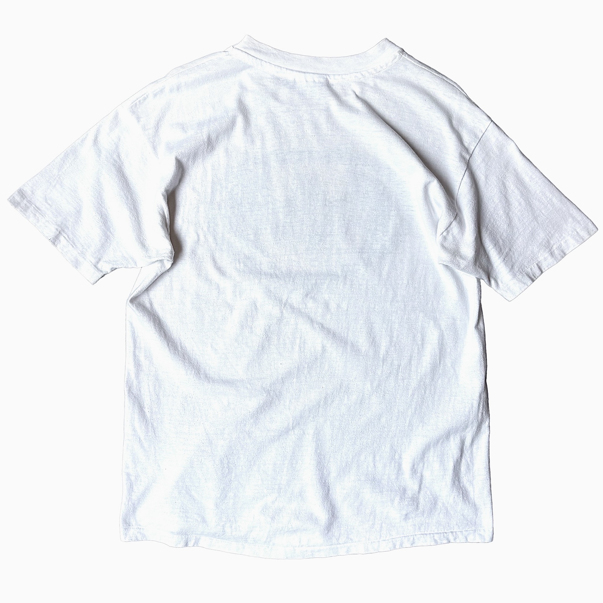 Vintage 80's【Hanes】"MIS Training" T-shirt の画像 2
