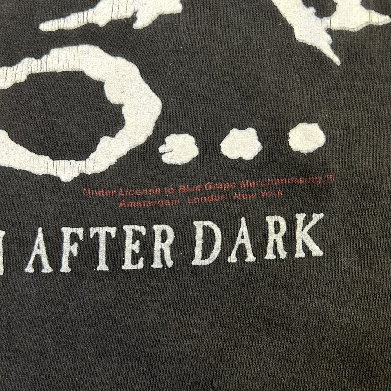 CRADLE OF FILTH PSYCHOPATHIA SEXUALIS ゴシックグラフィック フェード バンドTシャツ L の画像 8