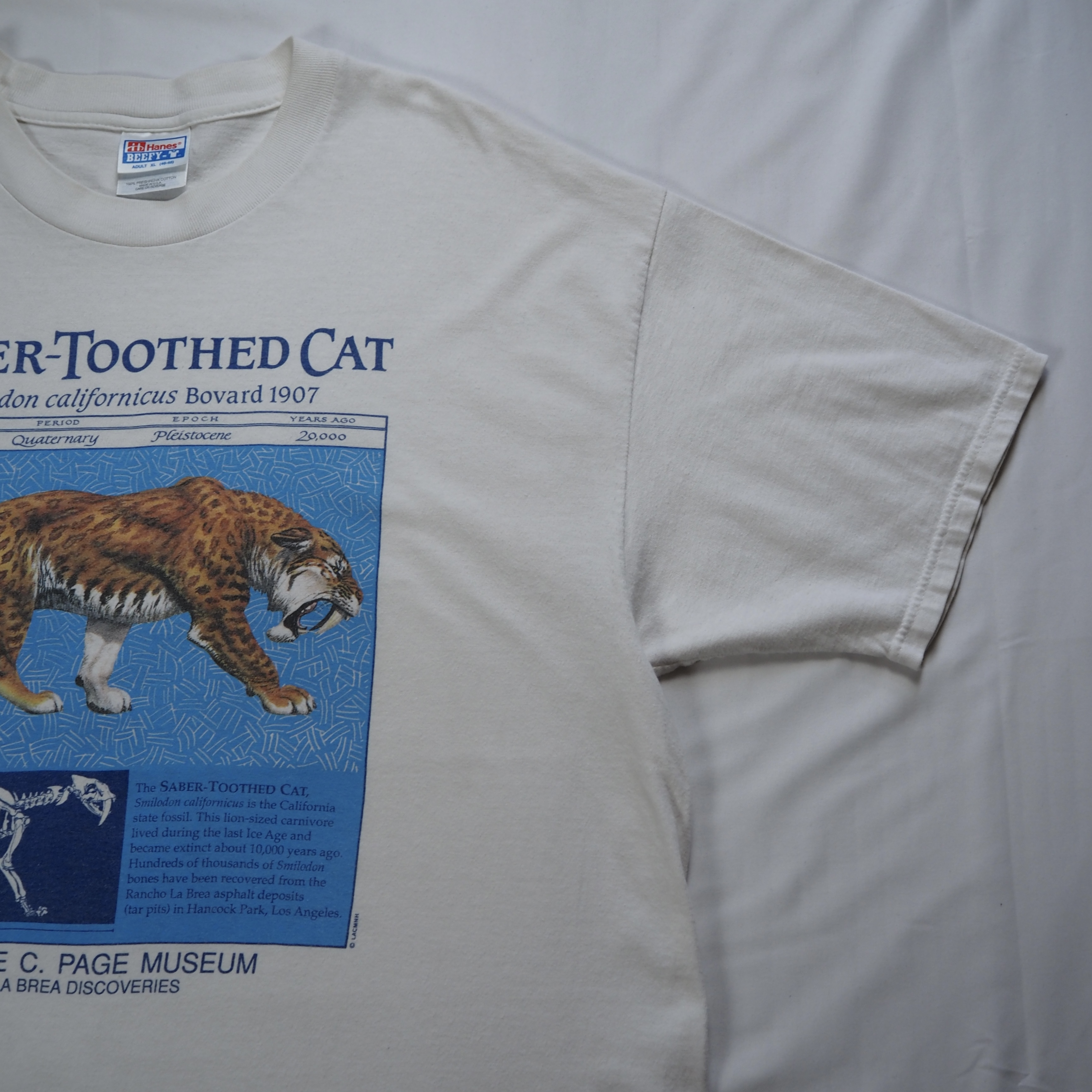 90’s Hanes サーベルタイガーTシャツ XL の画像 9