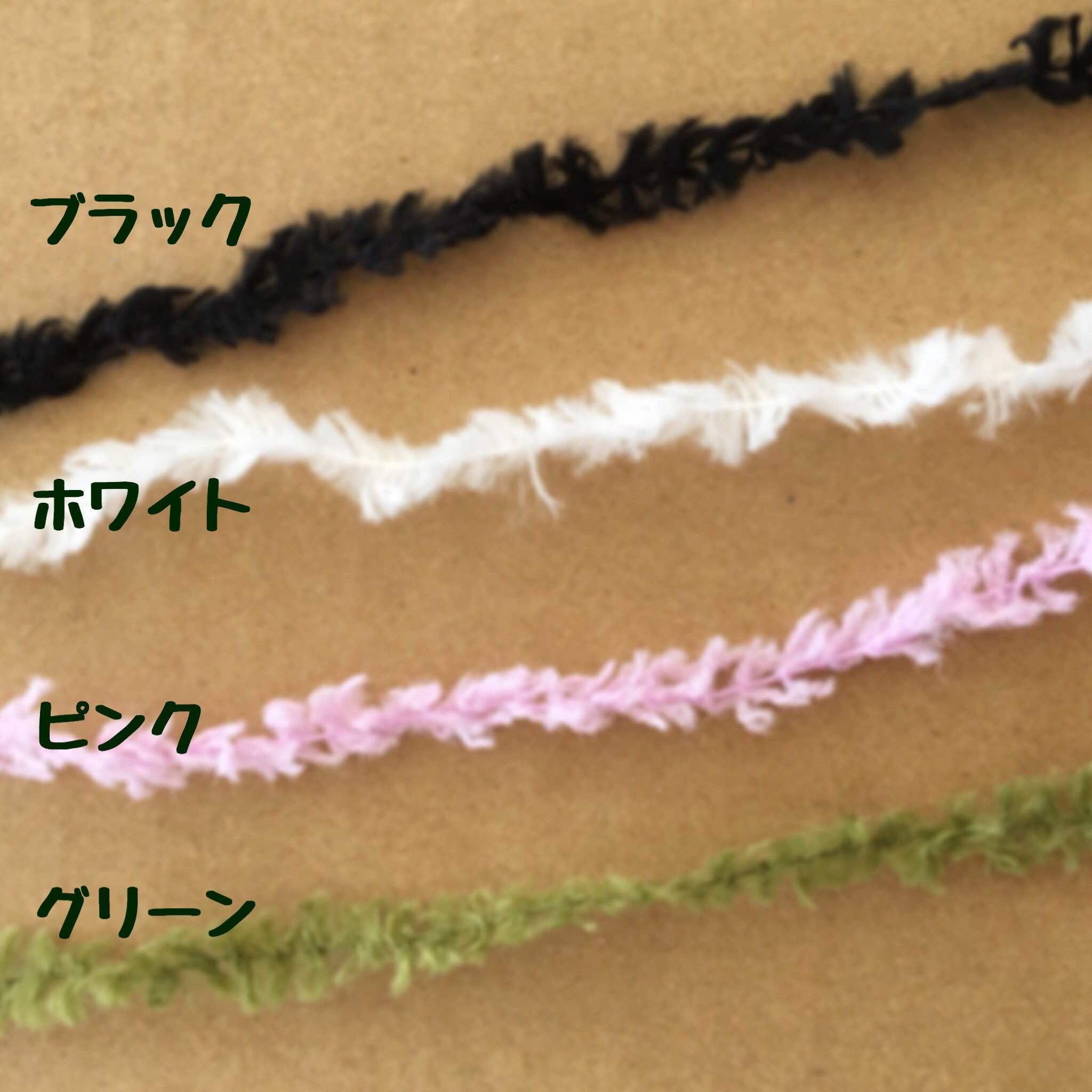 ギャザリング水苔2個&ベラボンサキュレント1袋 セット - 画像2