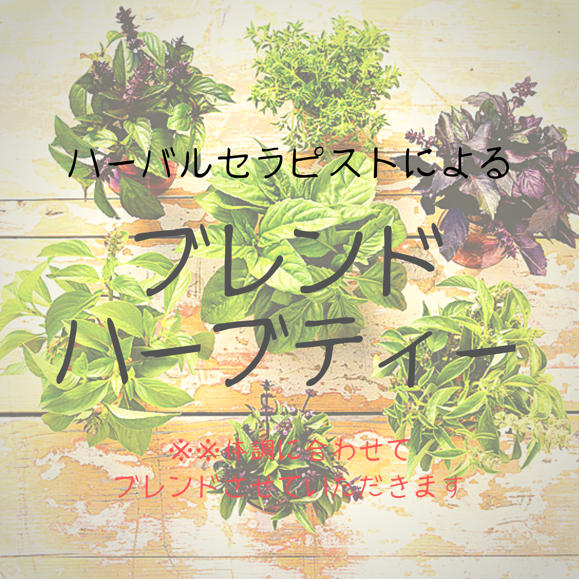 カウンセリング無料 ハーバルセラピストがブレンドする体調別ハーブティー アーユルヴェーダと植物療法の店 アーユス