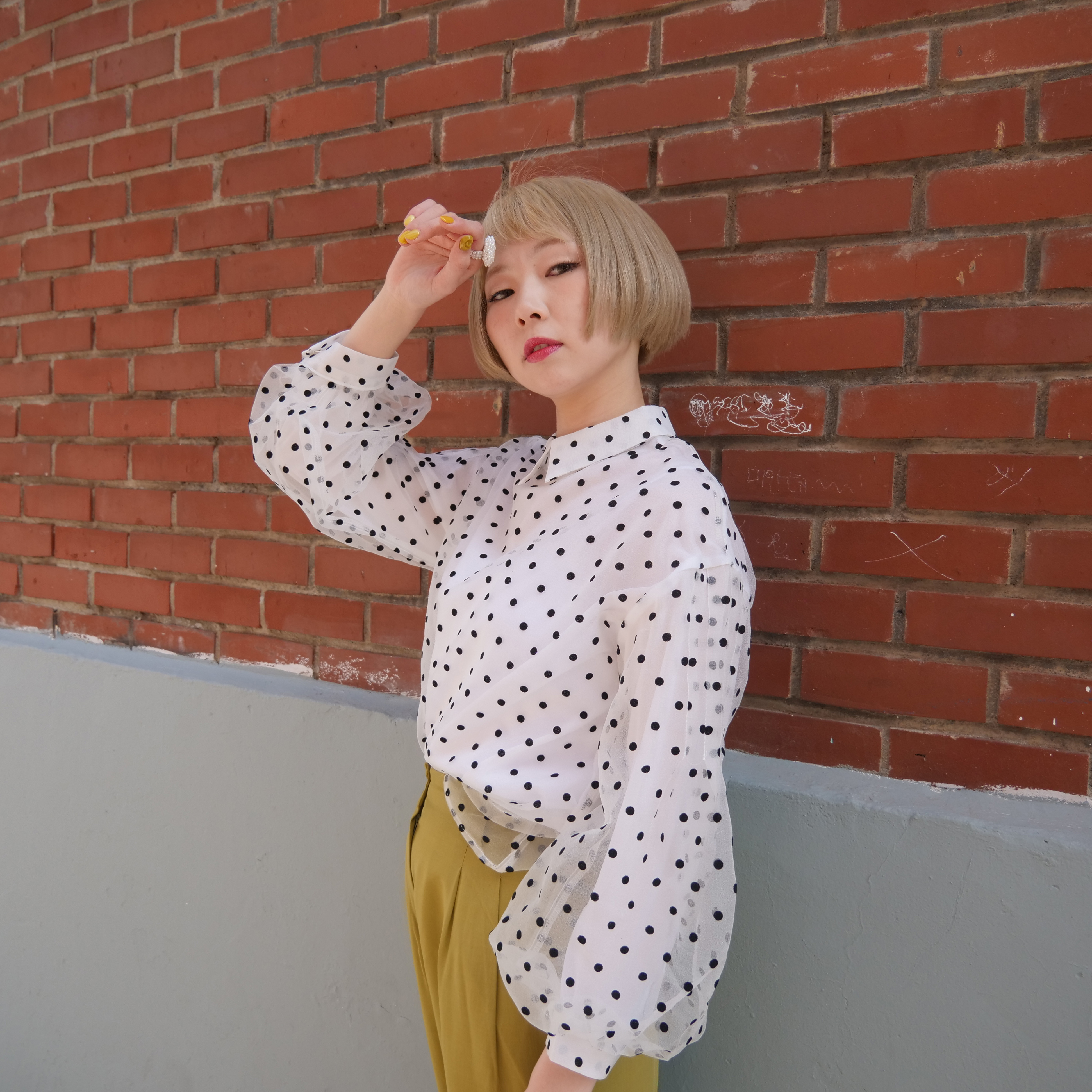 ドットシフォンブラウス Tavision オフィシャルshop