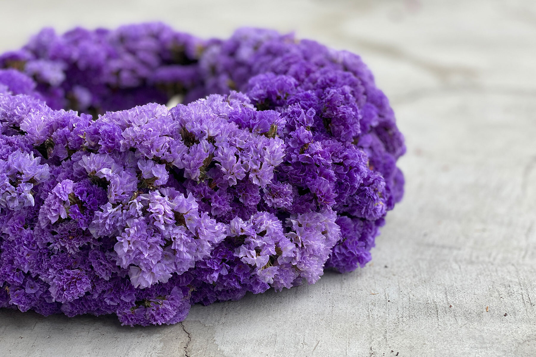 Statice Wreath Violet 07 | スターチスリース