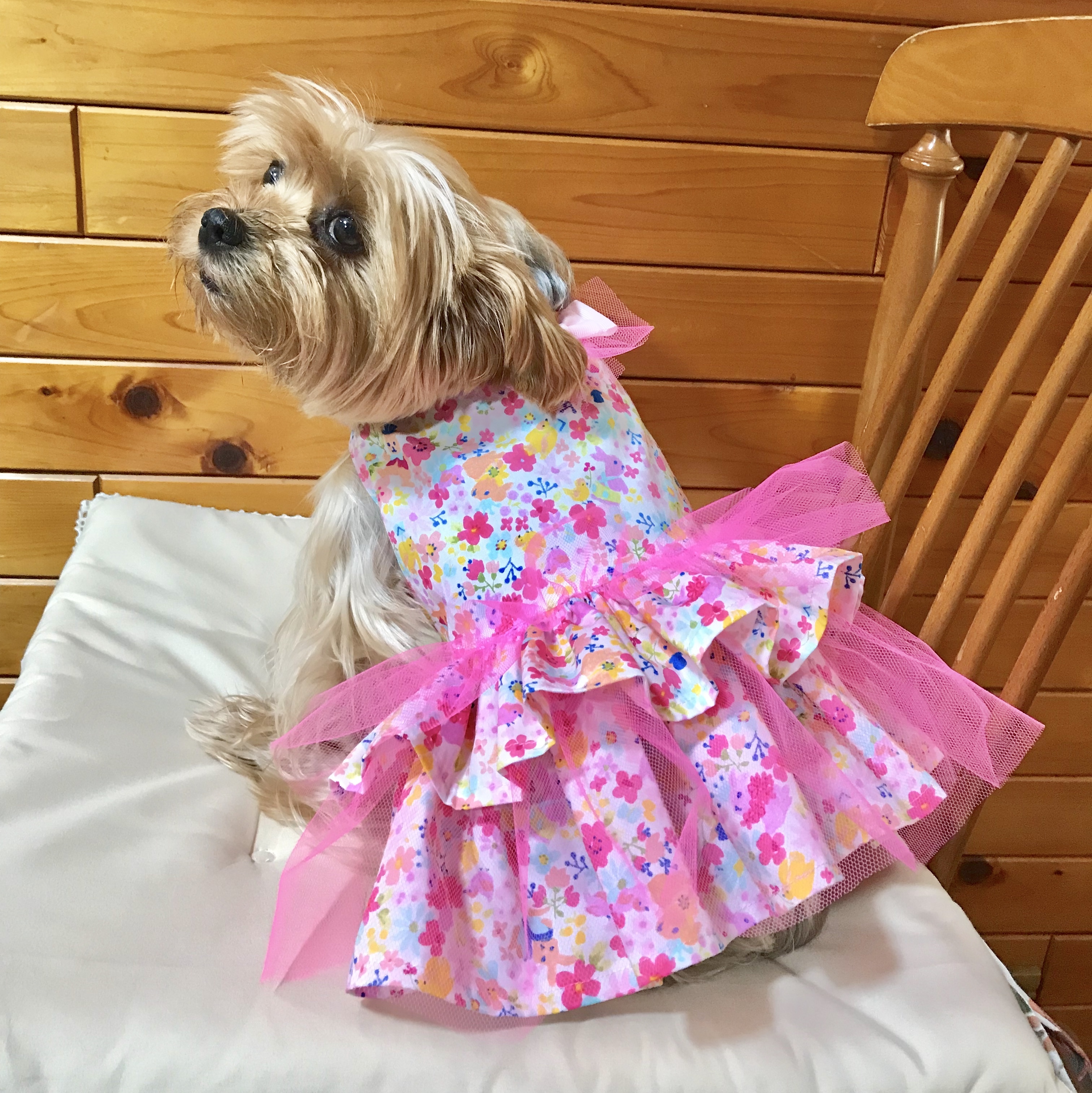 犬服 2号 ワンピース うさぎ柄 ゆめかわ チュール ピンク Tony Dog Zakka ハンドメイド犬服と雑貨のお店 犬服 2号 ワンピース うさぎ柄 ゆめかわ チュール ピンク Tony Dog Zakka ハンドメイド犬服と雑貨のお店