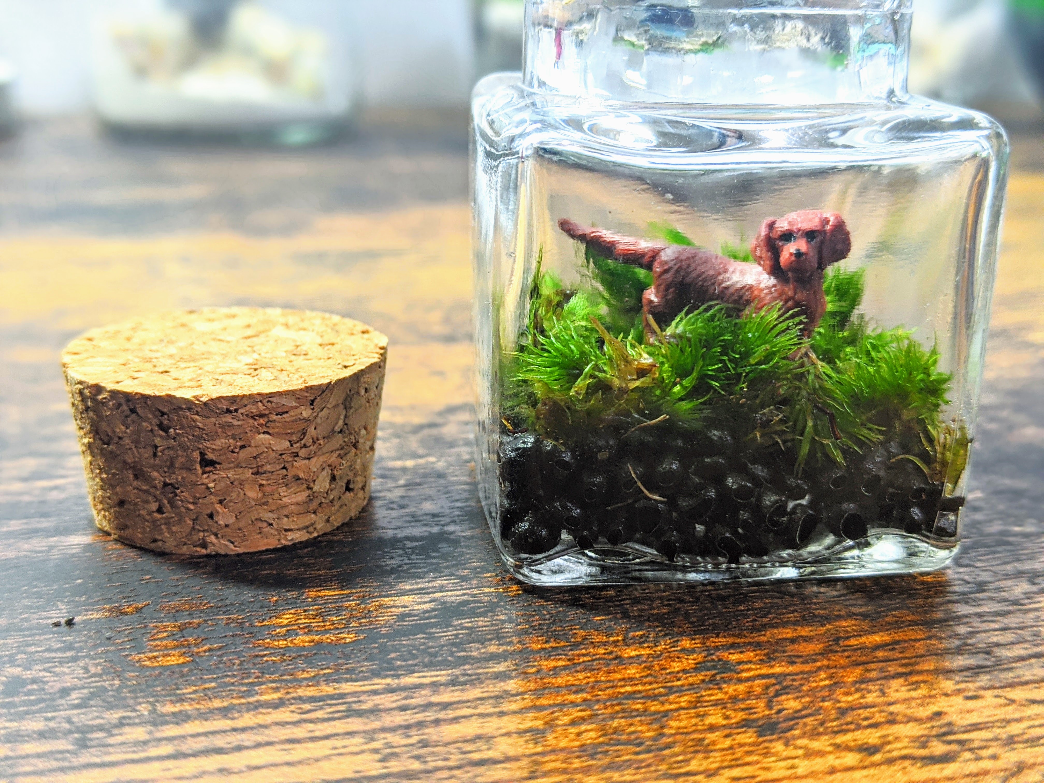 ビンの中の動物たち ミニチュアテラリウム アクアリウム