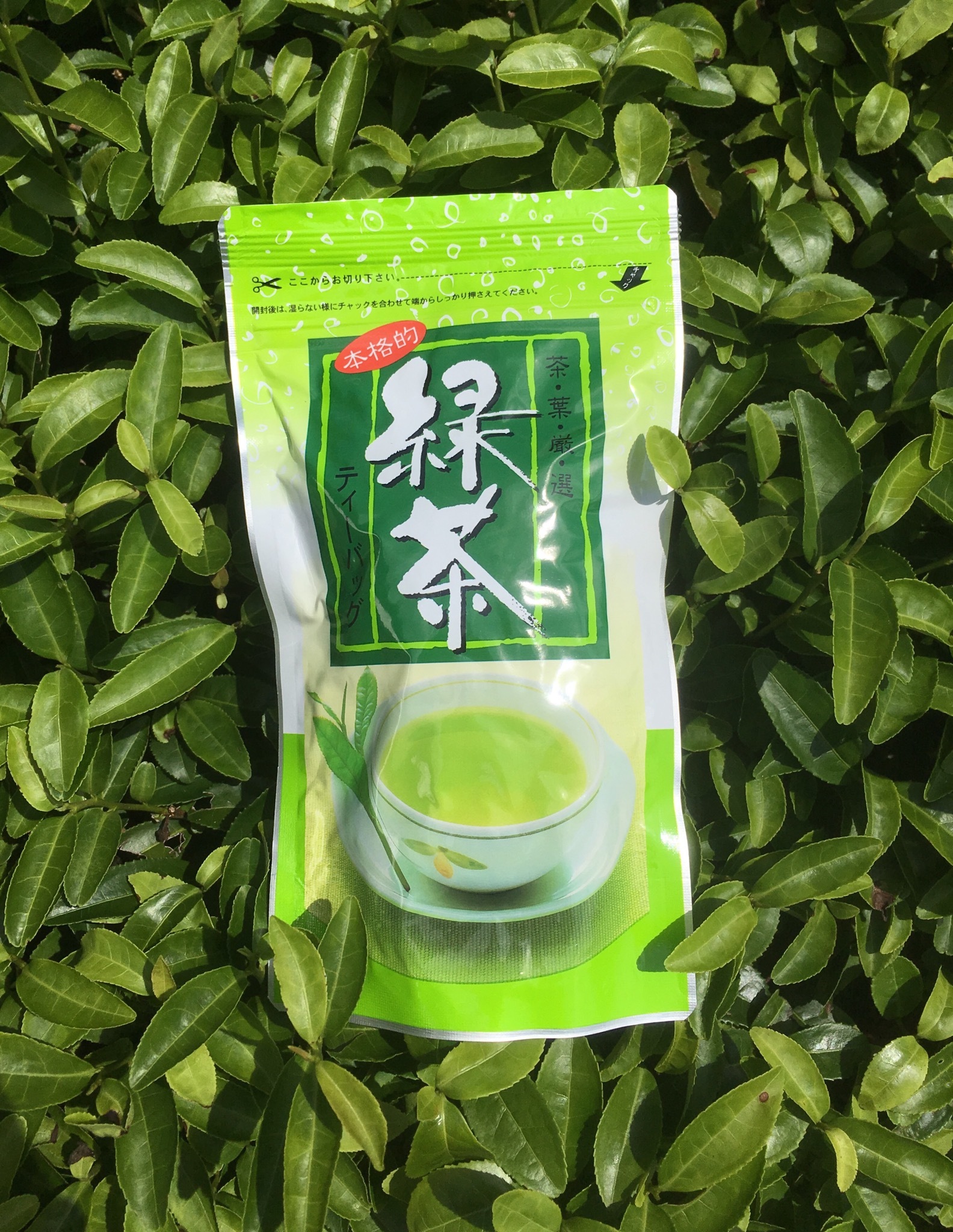 お得用 煎茶ティーバック 鈴木茶苑