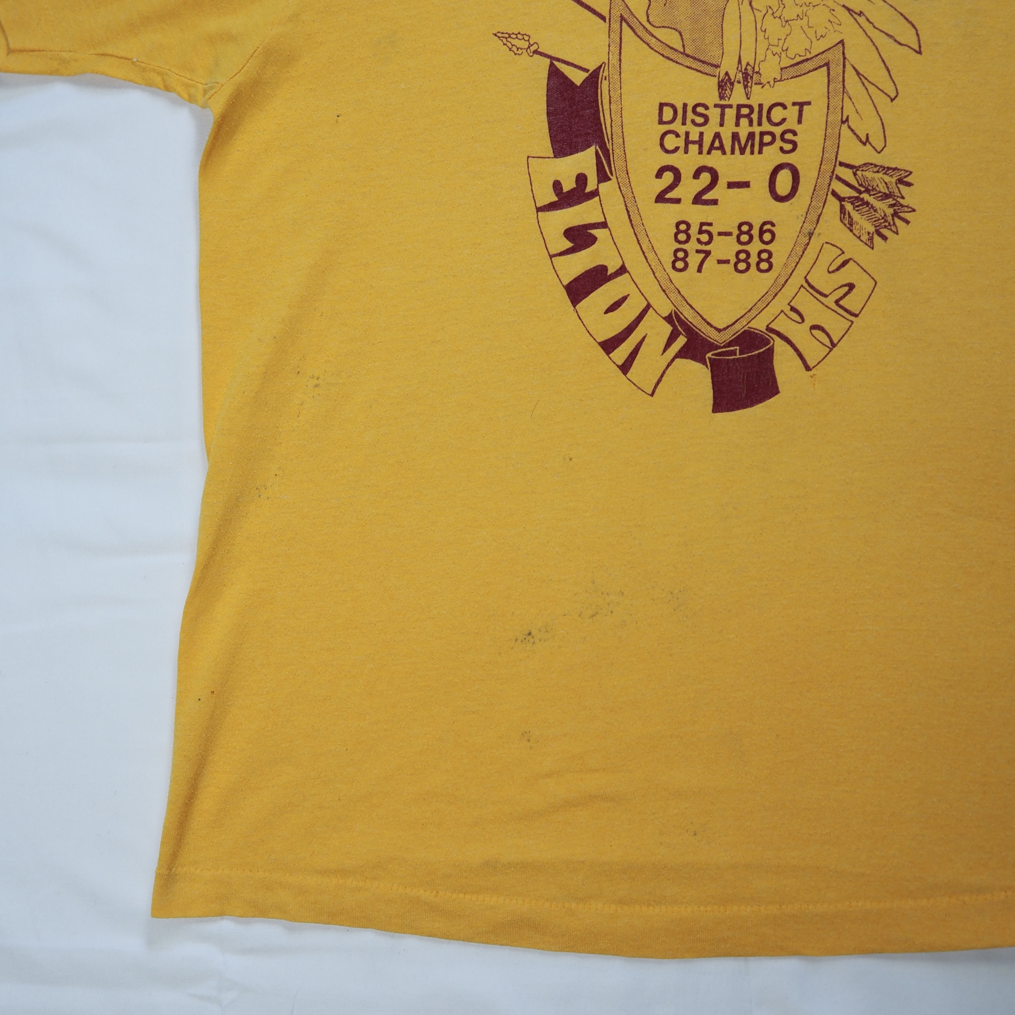 80’s スクリーンスターズ プリントTシャツ Lサイズ ネイティブアメリカン の画像 7