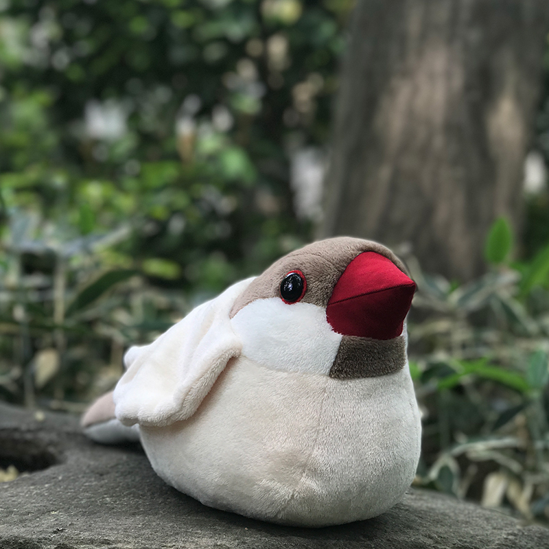 新サイトにて販売中 抱き文鳥ぬいぐるみ シナモン文鳥 Mofmof