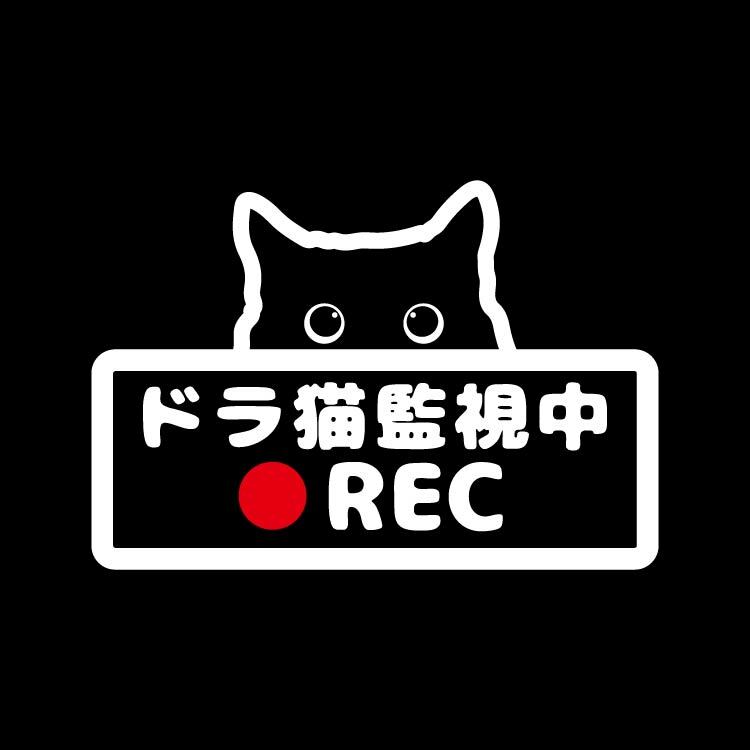 ドライブレコーダー 搭載 ステッカー 180d サイズ 11cm 16cm 猫 ねこ ドラレコ Drive Recorder カーステッカー カー用品 録画中 防犯 セキュリティー カーサイン リアガラス 煽り運転 かわいい リアウインド 猫好き ねこ好き ドラ猫 どら猫 おしゃれ にゃんこ あおり運転