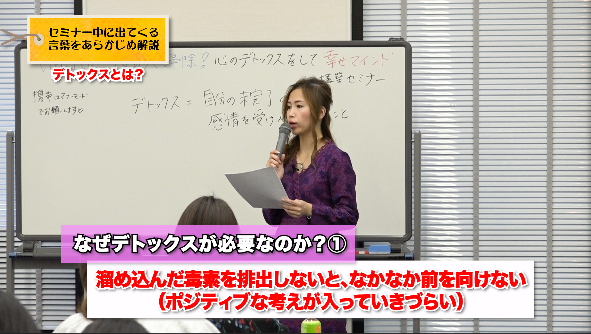 《DVD版》いらない感情の大掃除!心のデトックスをして幸せマインド構築セミナー - 画像2