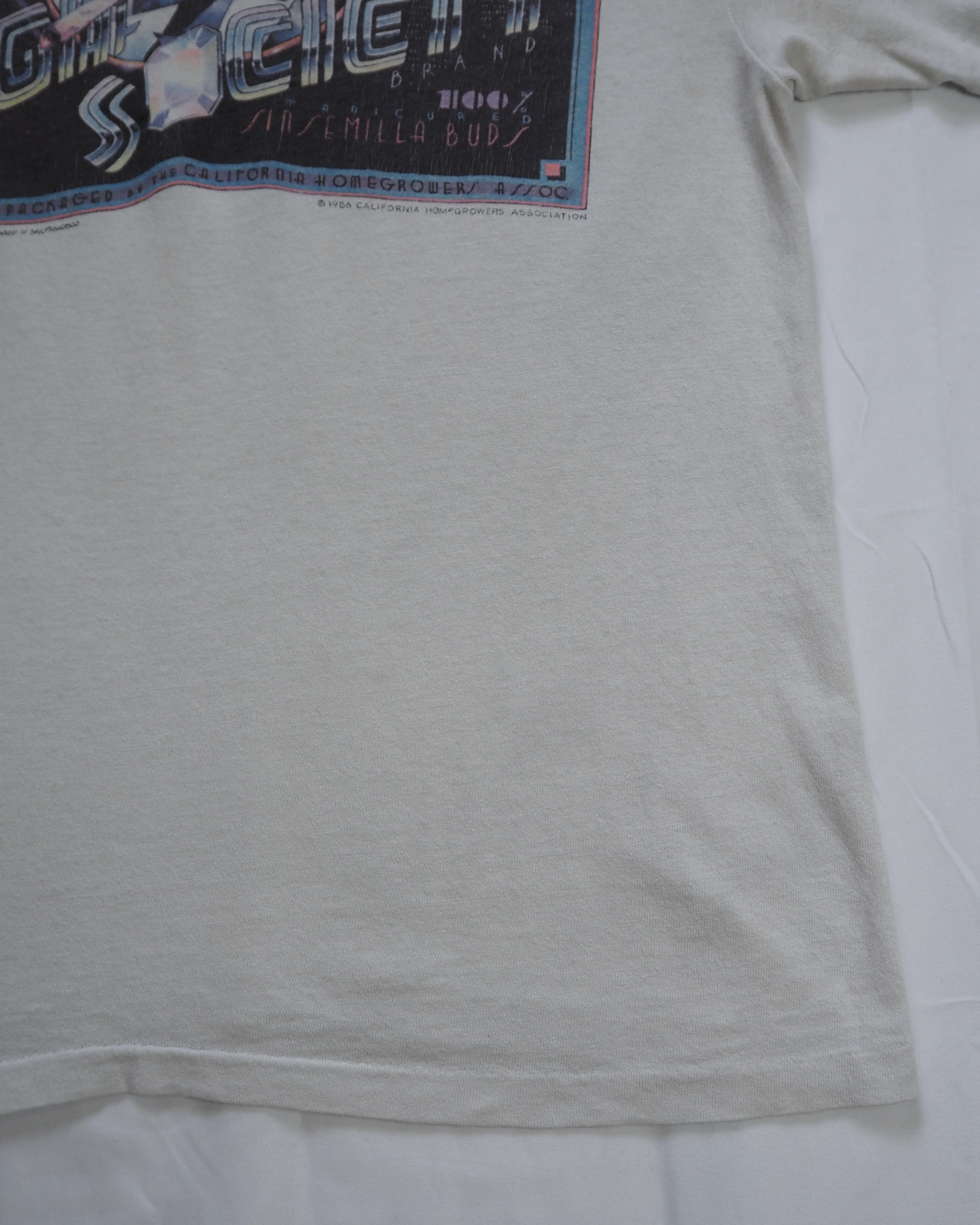 80’s Hanes プリントTシャツ の画像 9