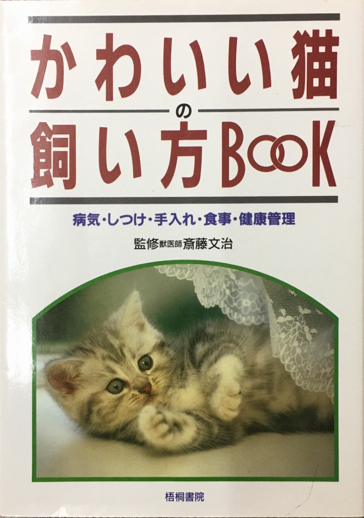 かわいい猫の飼い方book 単行本 猫本サロン 京都三条サクラヤ
