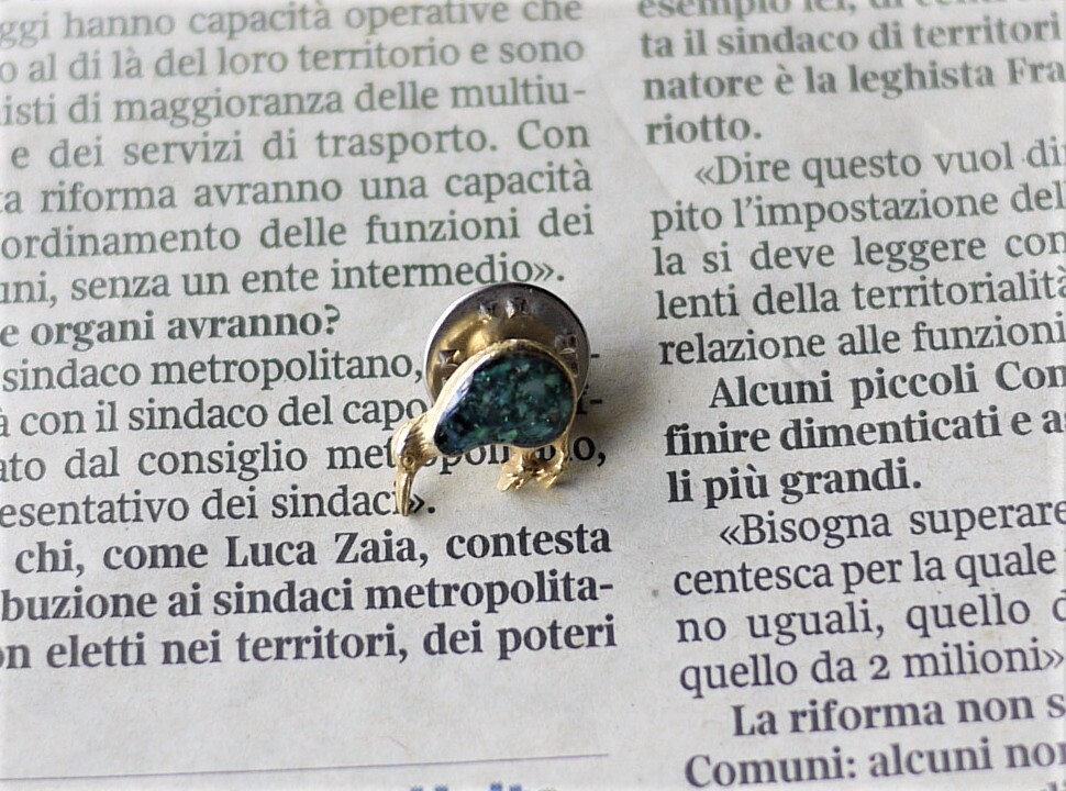 パウアー貝ピンバッジ Kiwiキーウィ鳥 Paua シェルピン Nz こりすのパン屋