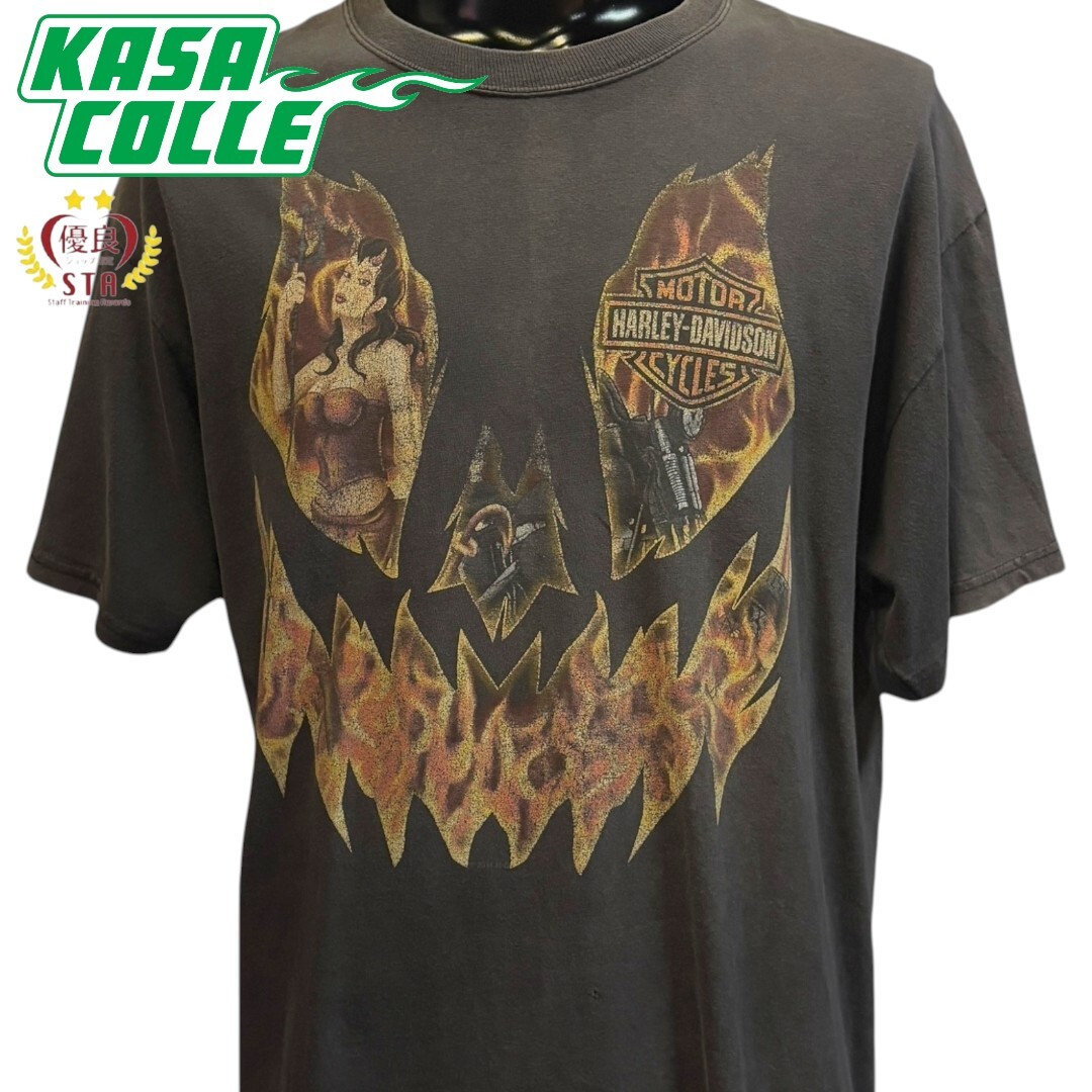 【HARLEY DAVIDSON】ハーレーダビッドソン Hanesボディ Tシャツ L相当