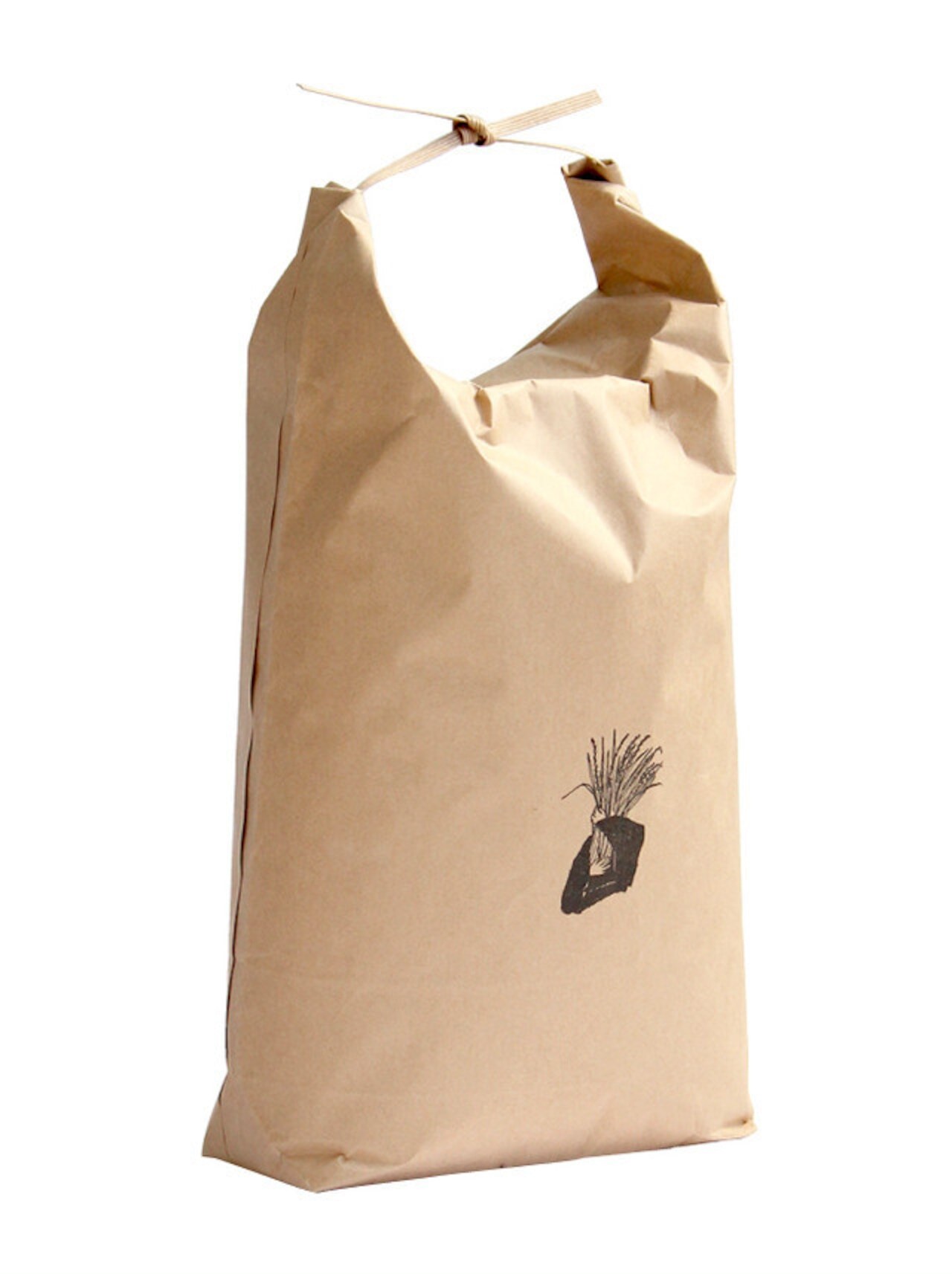 令和7年産 コシヒカリ 5kg