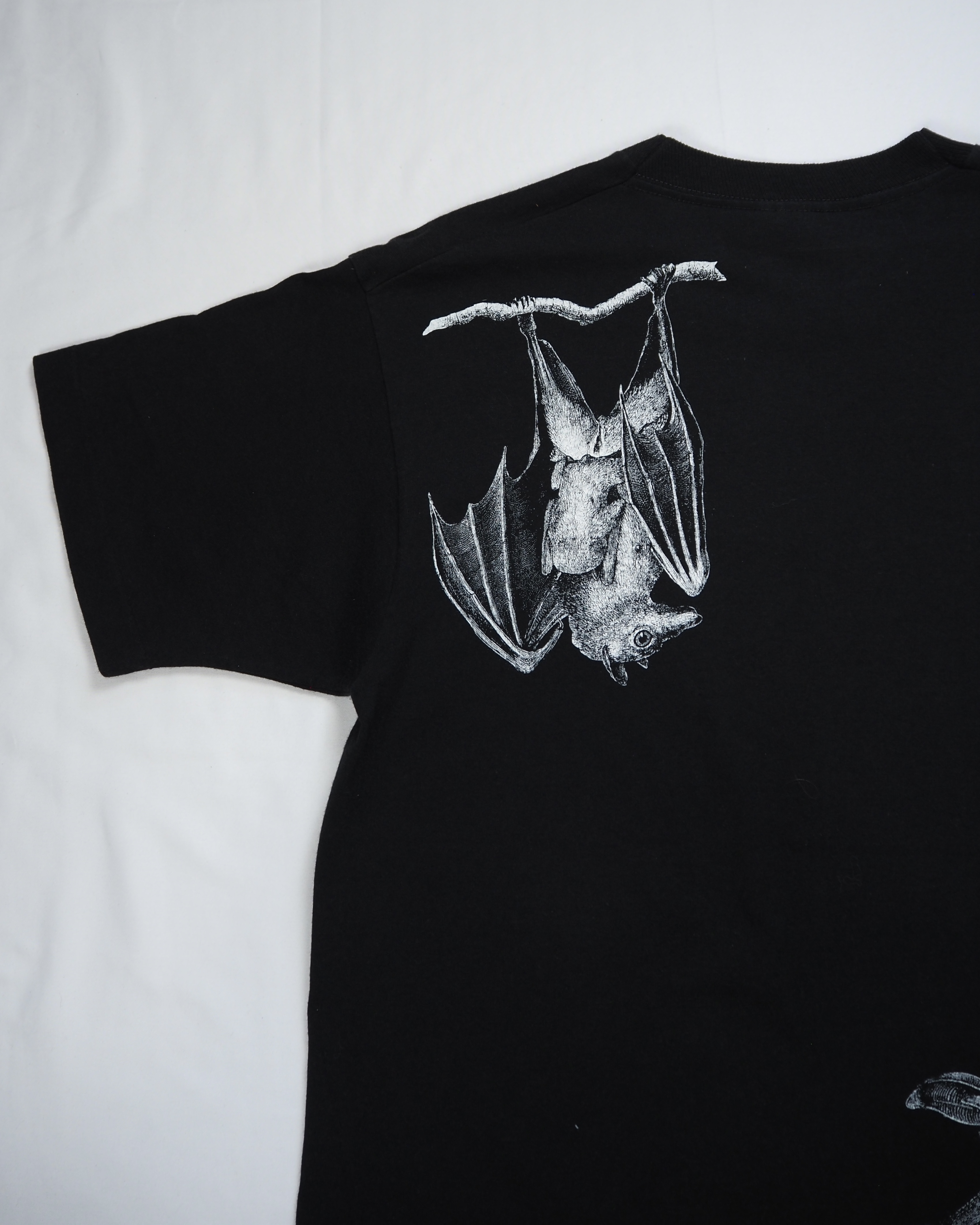 80’s フルーツ コウモリTシャツ 両面プリント Lサイズ の画像 14