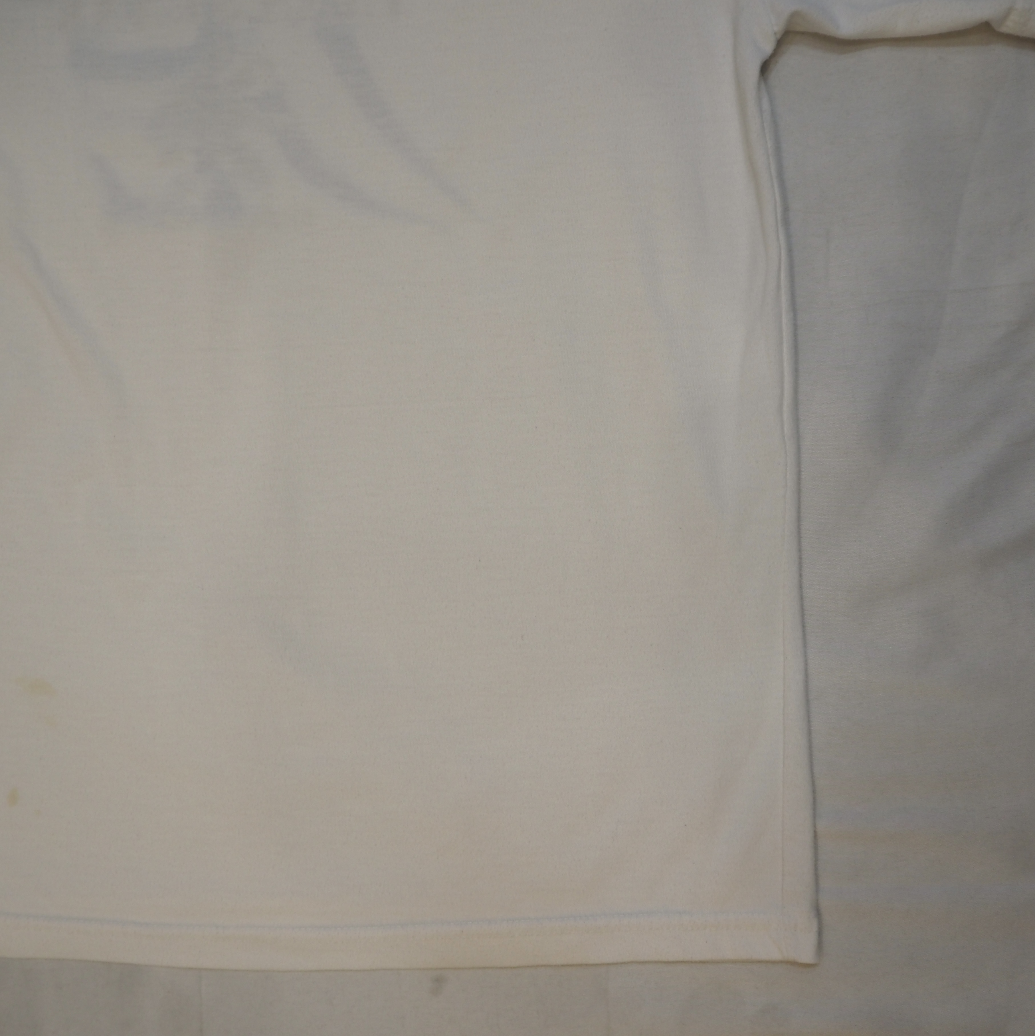 00’s Vans Tee “虎" の画像 15