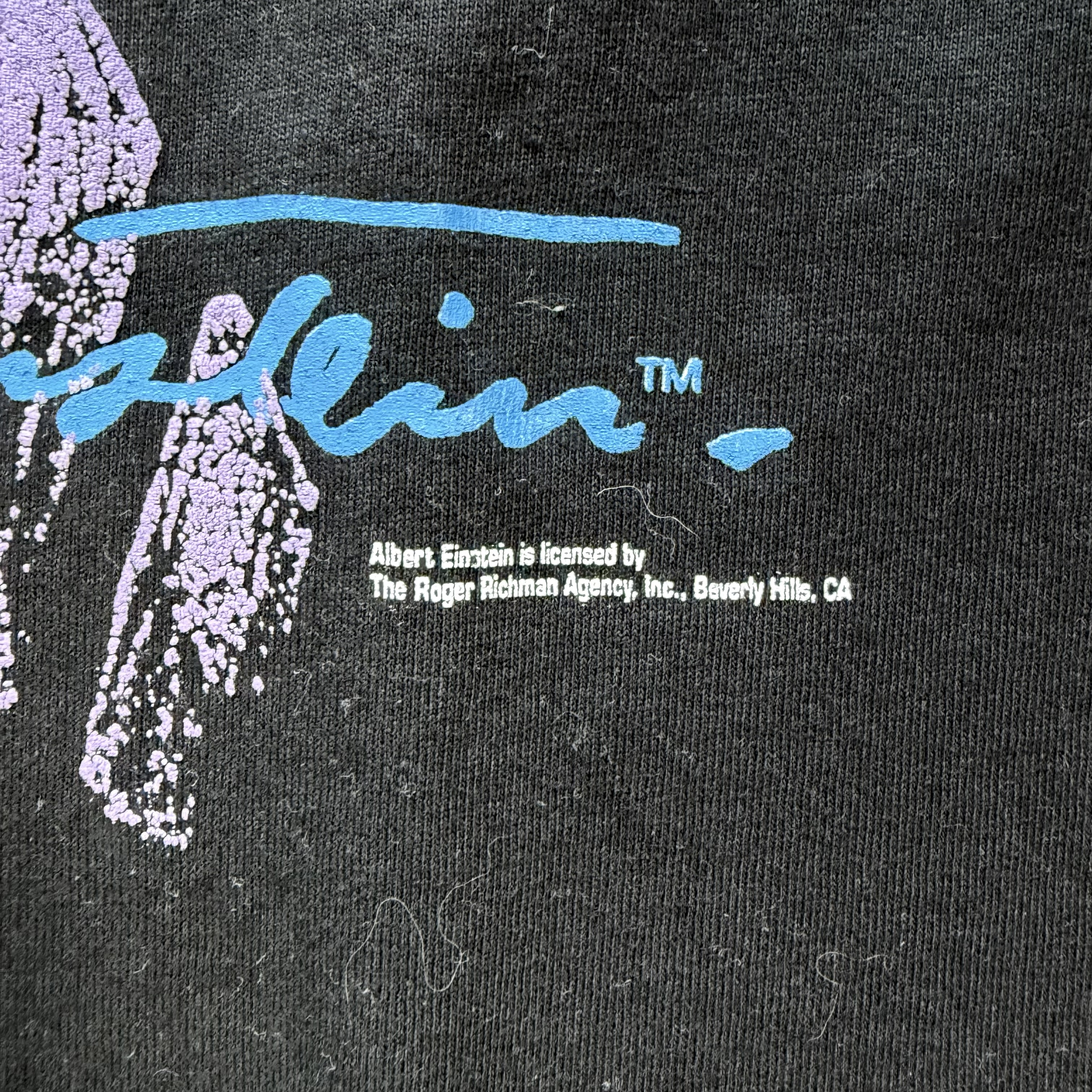 90s アインシュタイン Tシャツ ビンテージ の画像 4