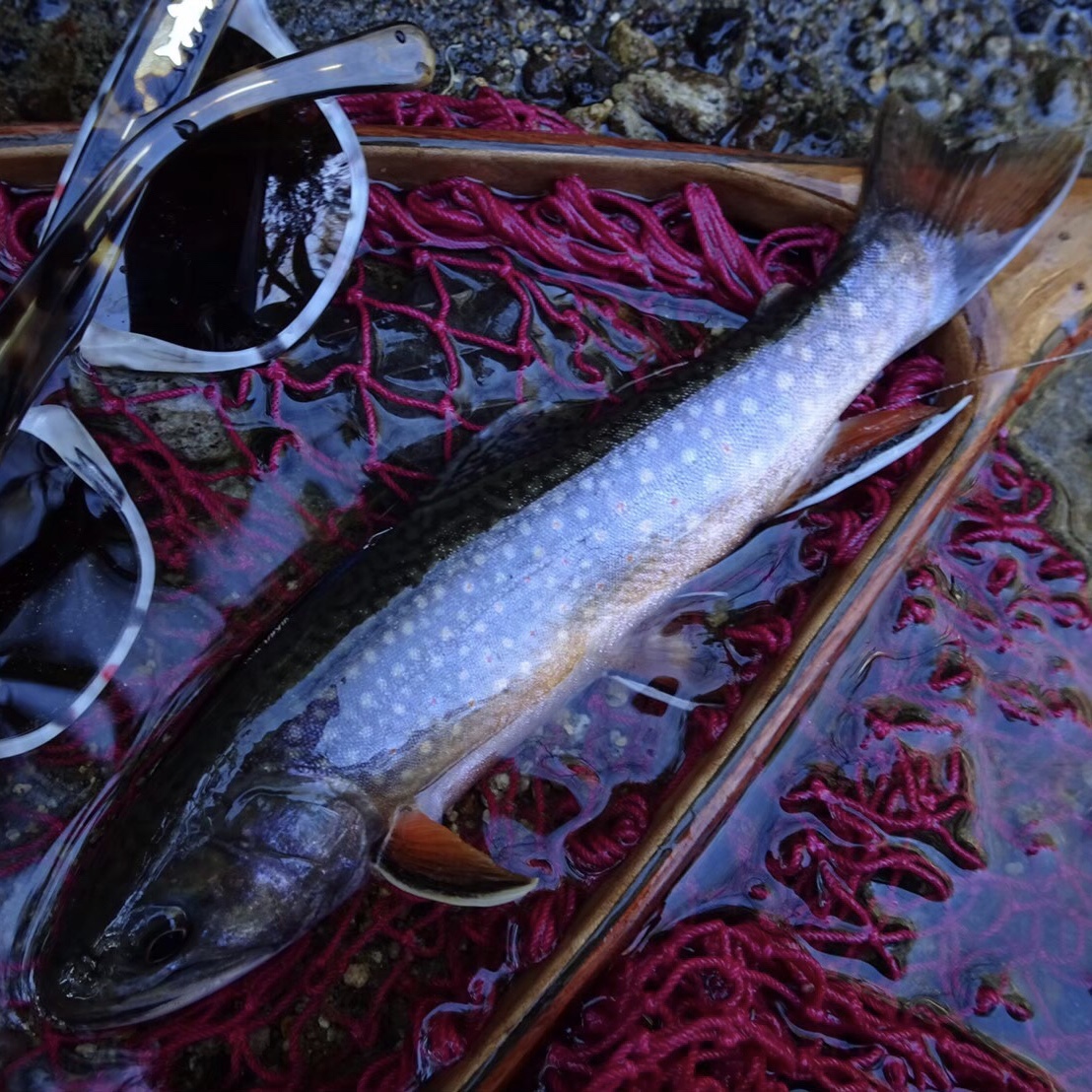 Peche Interdite Bigfish 19