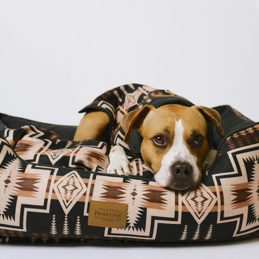 PENDLETON HARDING DOG BED KUDDLER【 XL】 DOGGY BRO