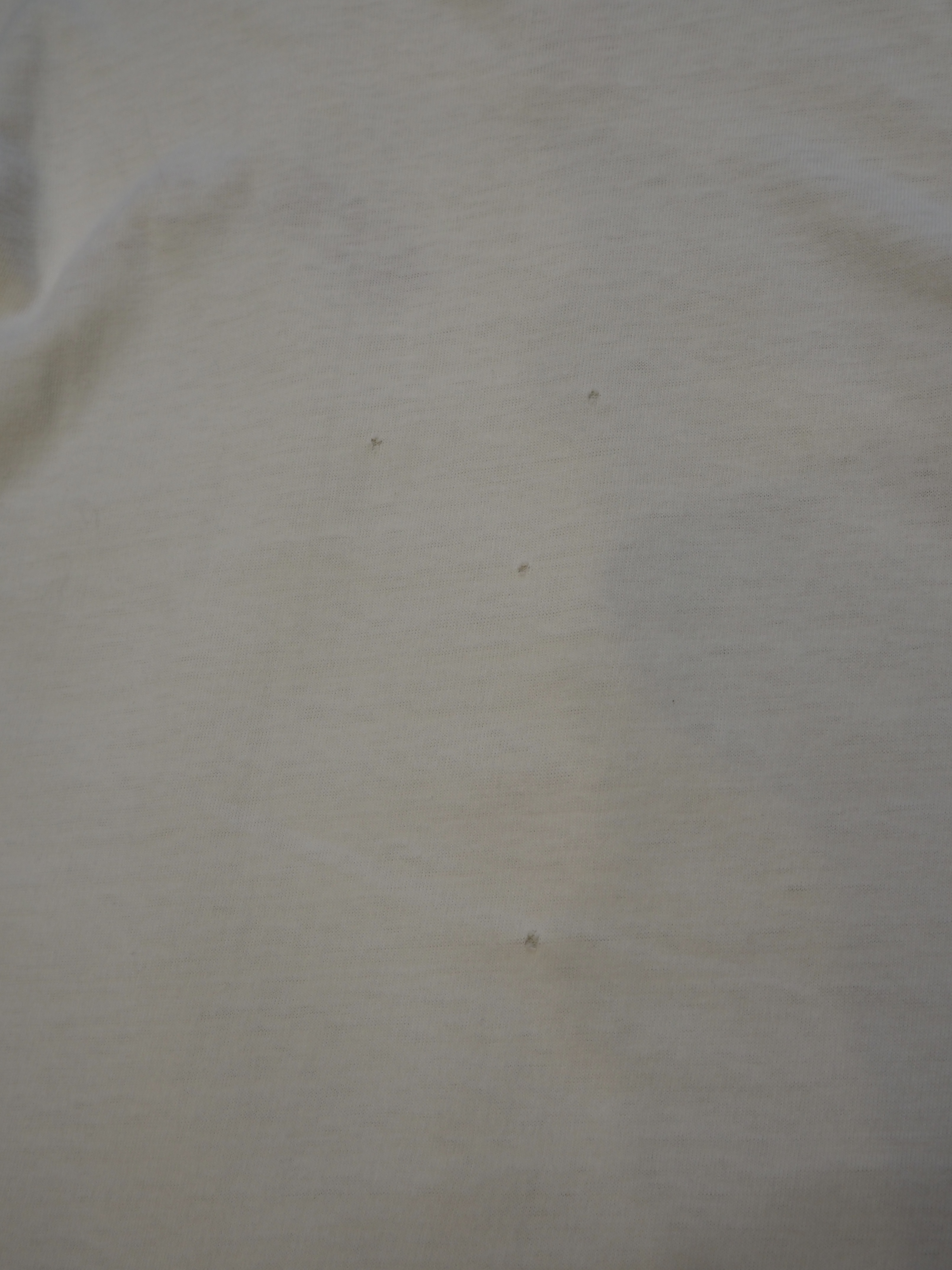 60’s Champion Tee の画像 15