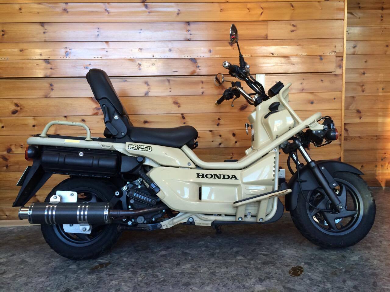 Honda ps250 zoomer