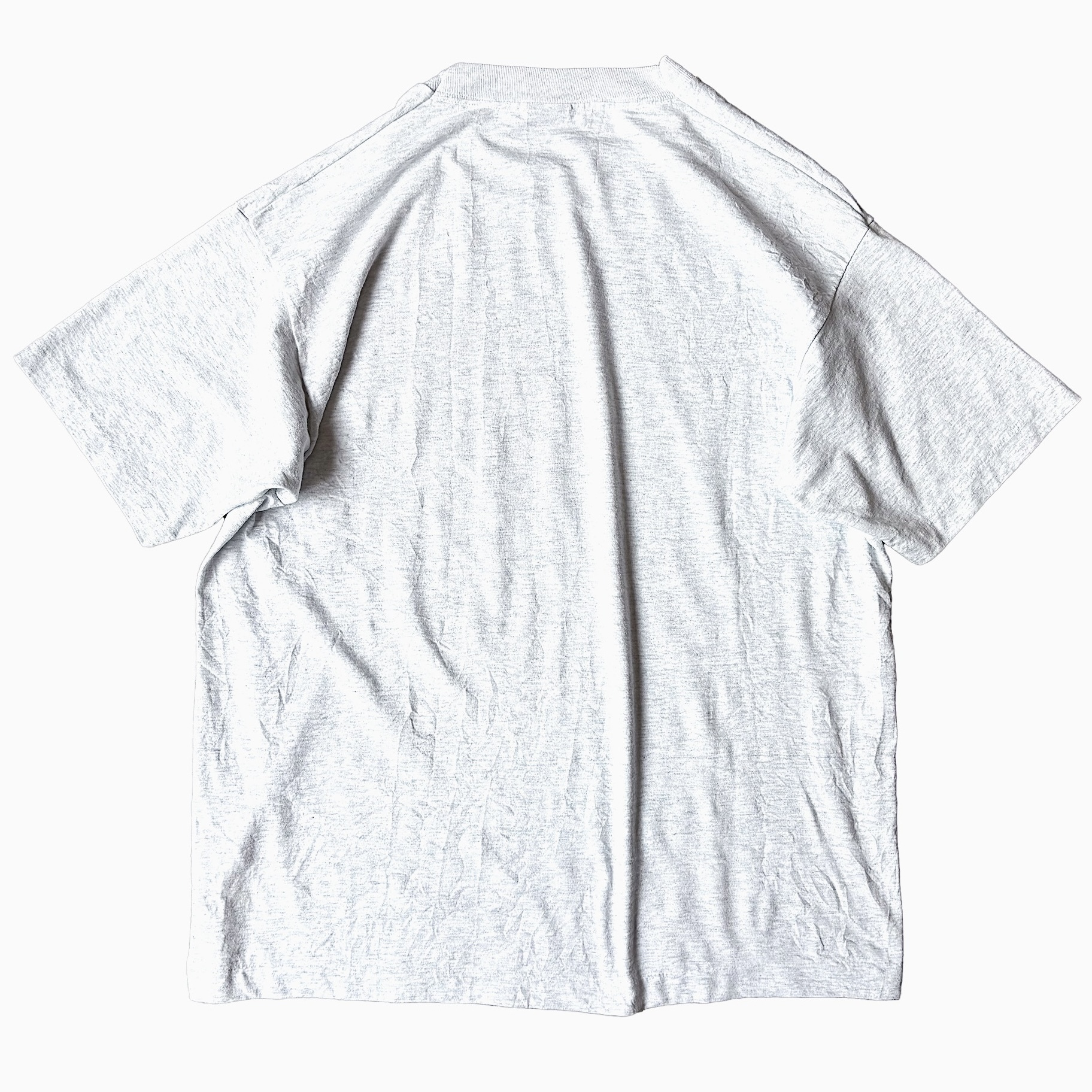 Vintage 90's【SCREEN STARS】"I  SURVIVED THE TORNADO" T-shirt の画像 2