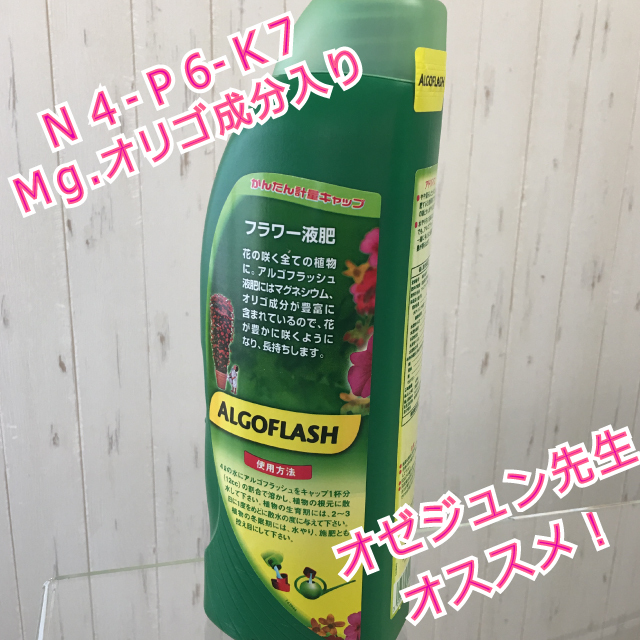 アルゴフラッシュフラワー液肥1ℓオゼジュン先生イチオシ!液体肥料 - 画像2