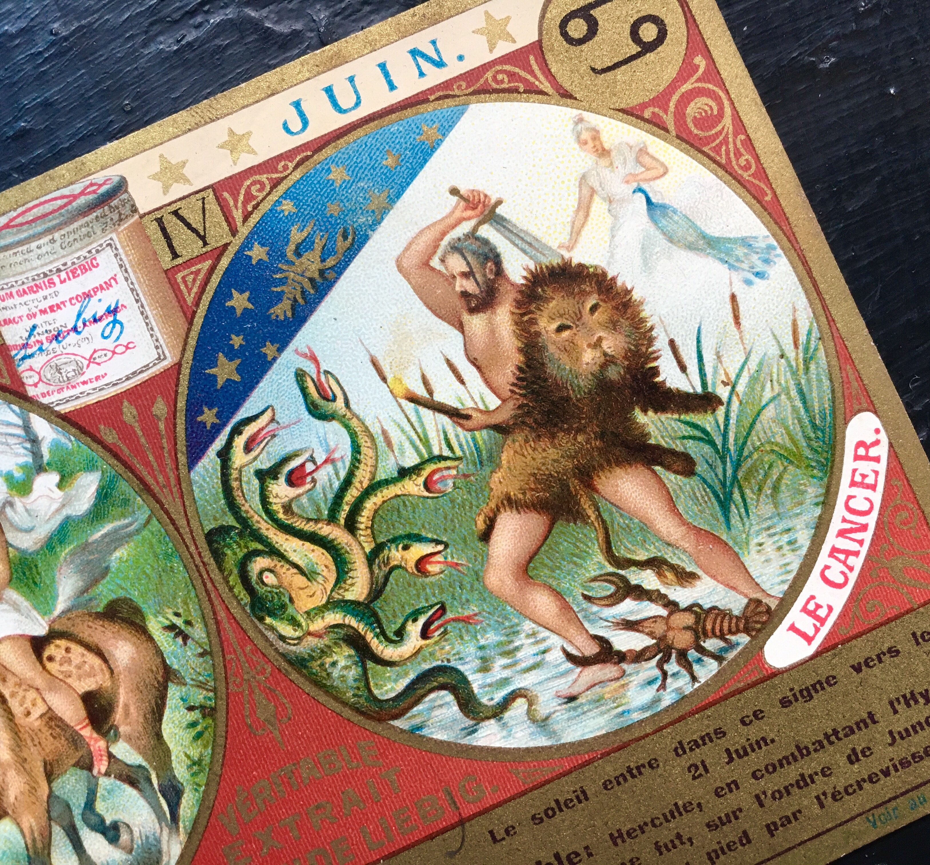 双子座と蟹座のカード メルキュール骨董店