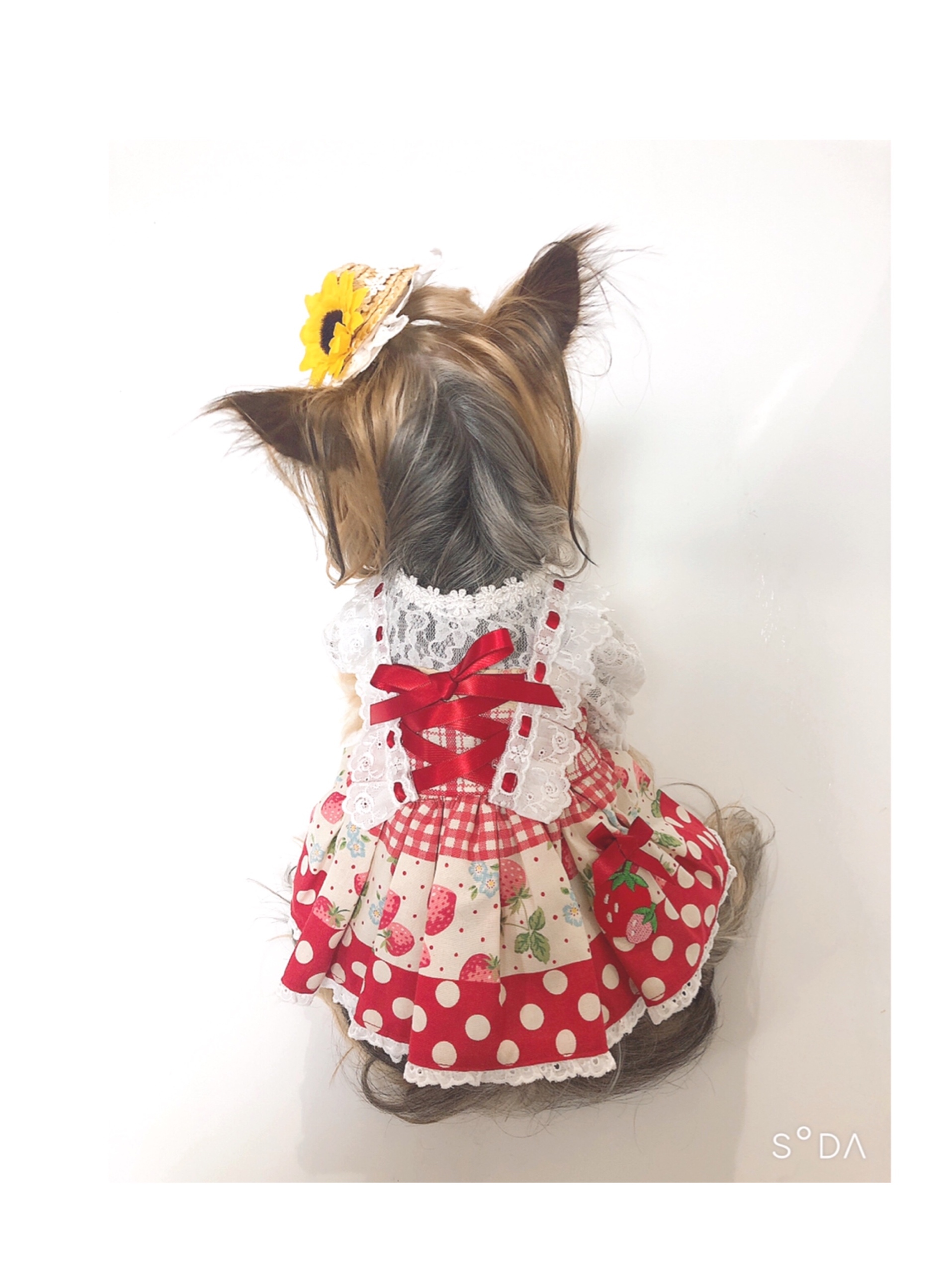 犬服オーダー 森ガールワンピース Dogdress Ari Ra 犬服オーダー 森ガールワンピース Dogdress Ari Ra