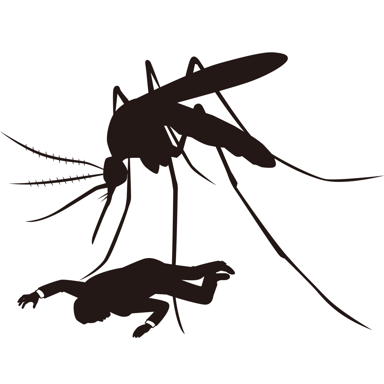 Mosquito Sozaido Mosquito Sozaido