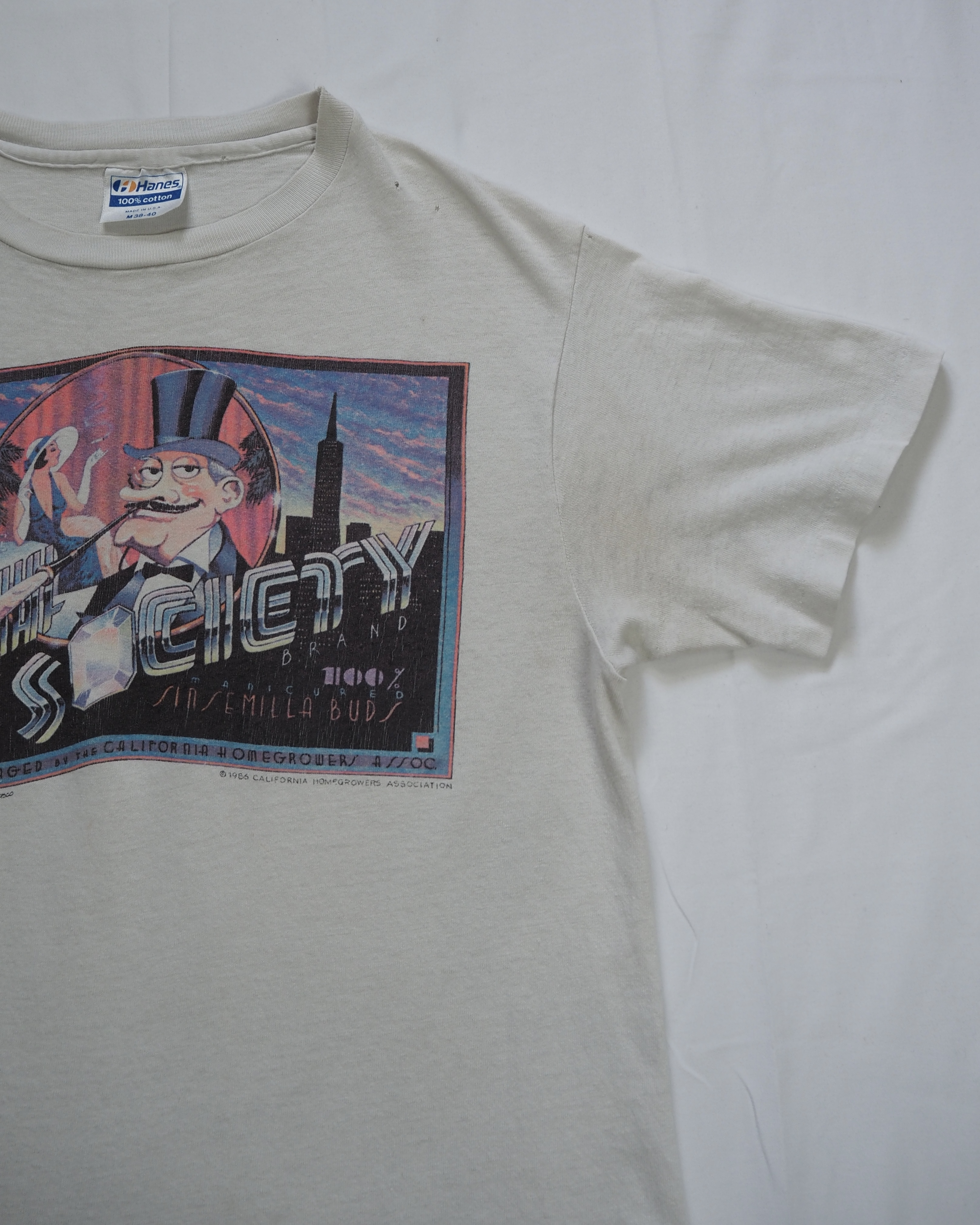 80’s Hanes プリントTシャツ の画像 6
