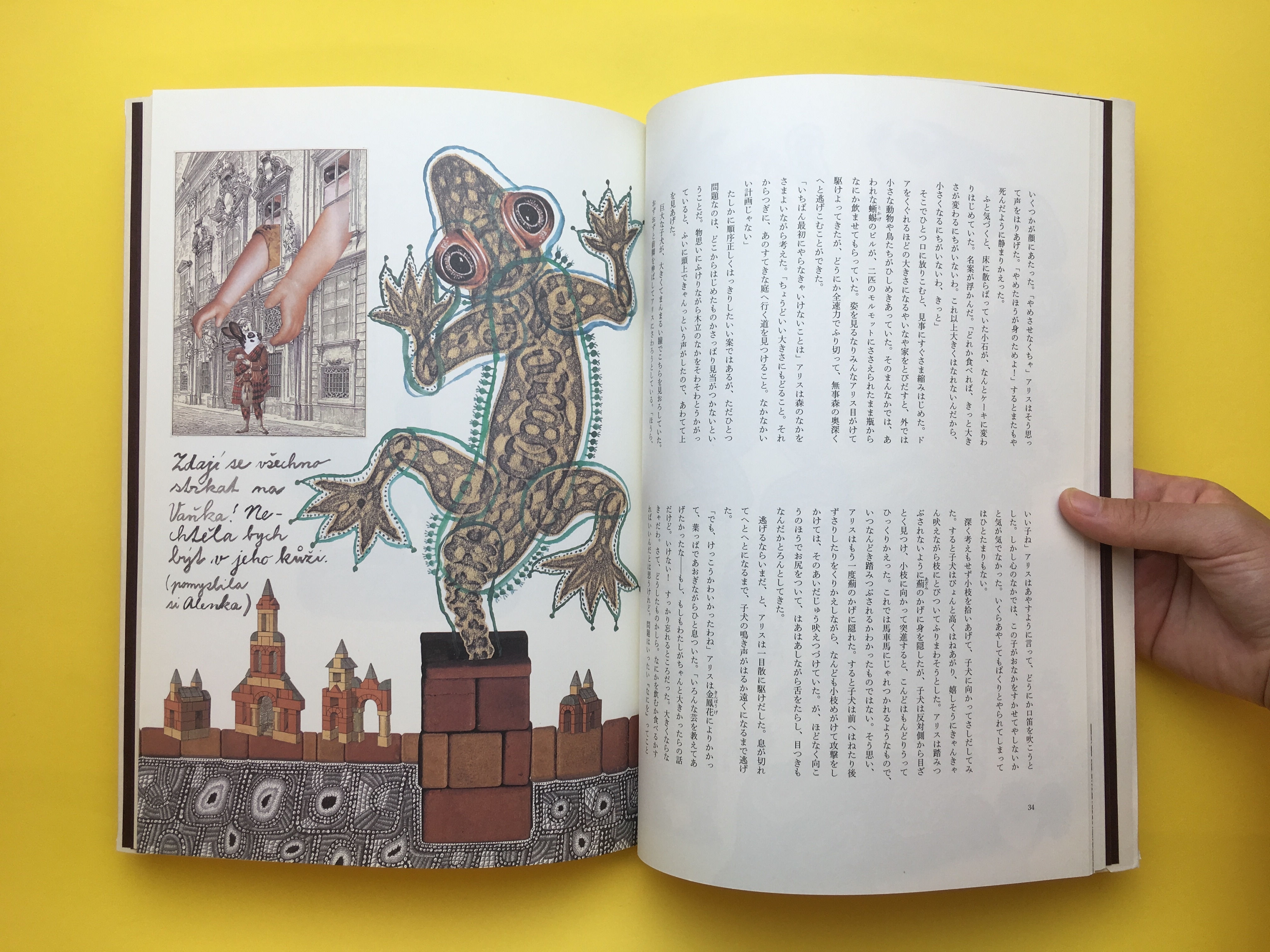 不思議の国のアリス ヤン シュヴァンクマイエル B243 コ本や Picture Book Shop